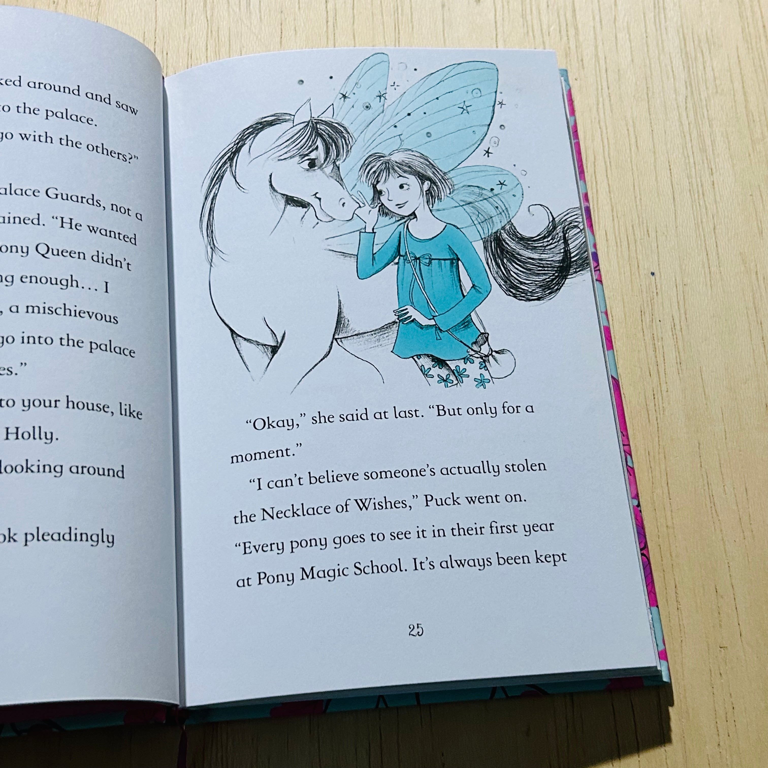 The Fairy Ponies - Hardcover
