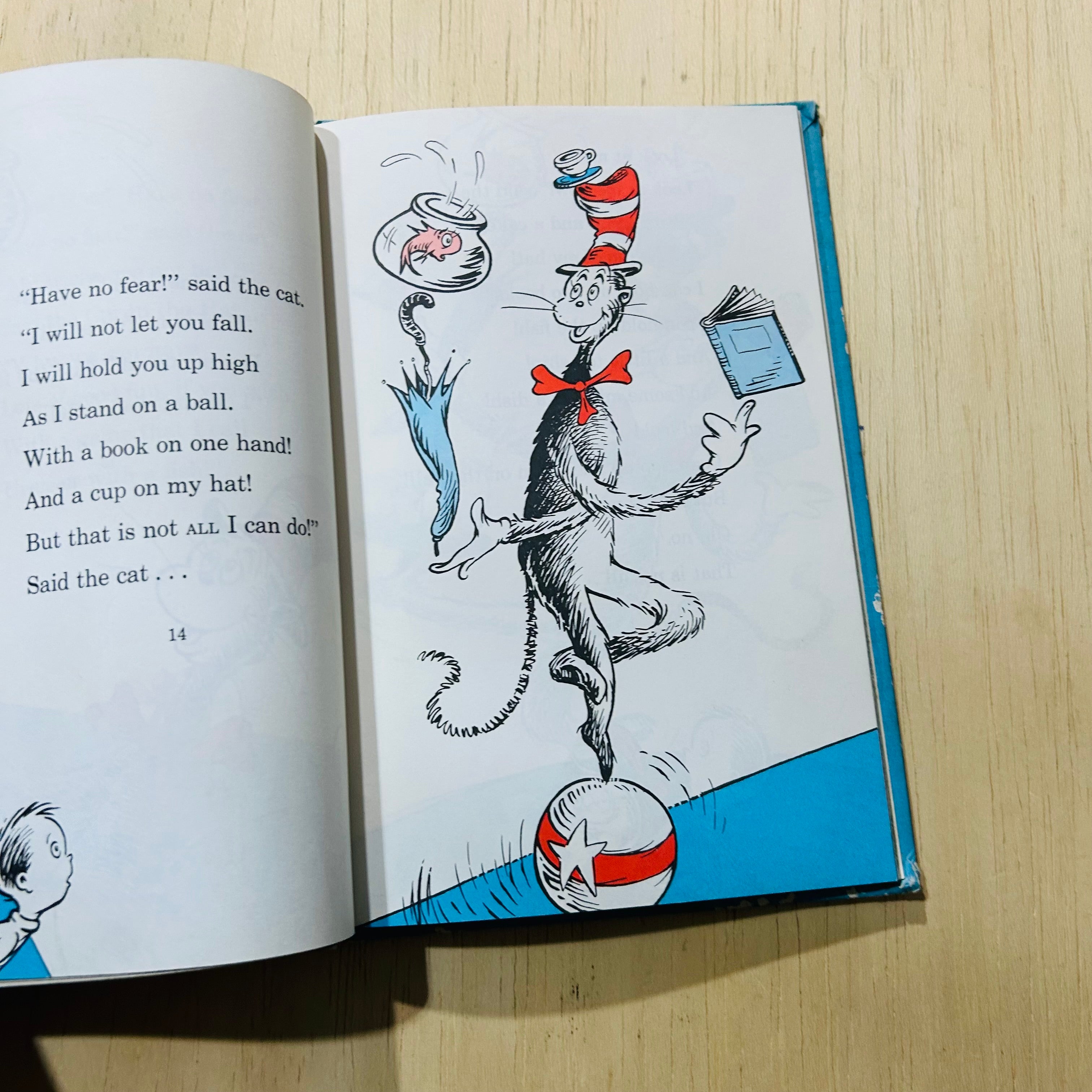 The Cat in the Hat - Hardcover