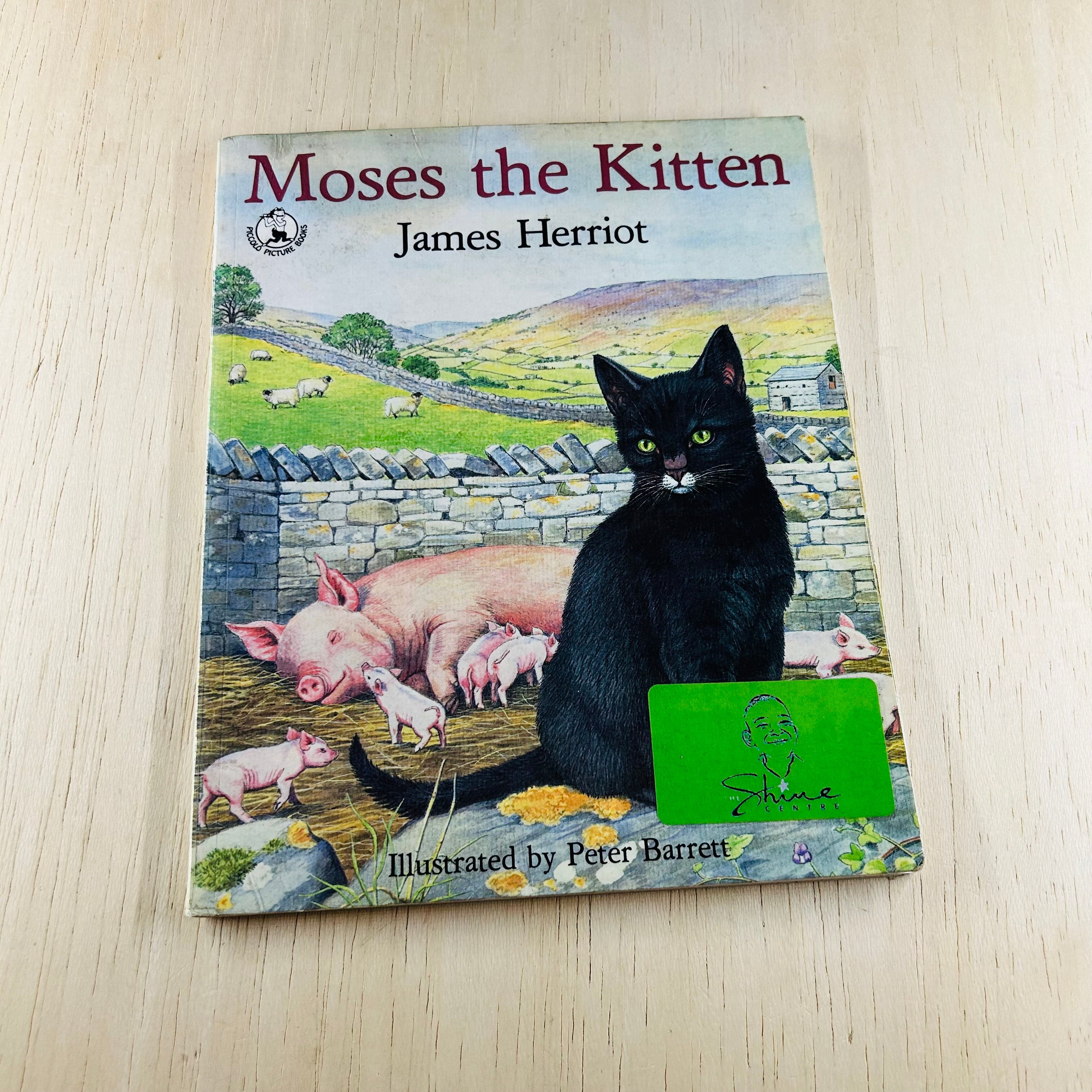 Moses the Cat
