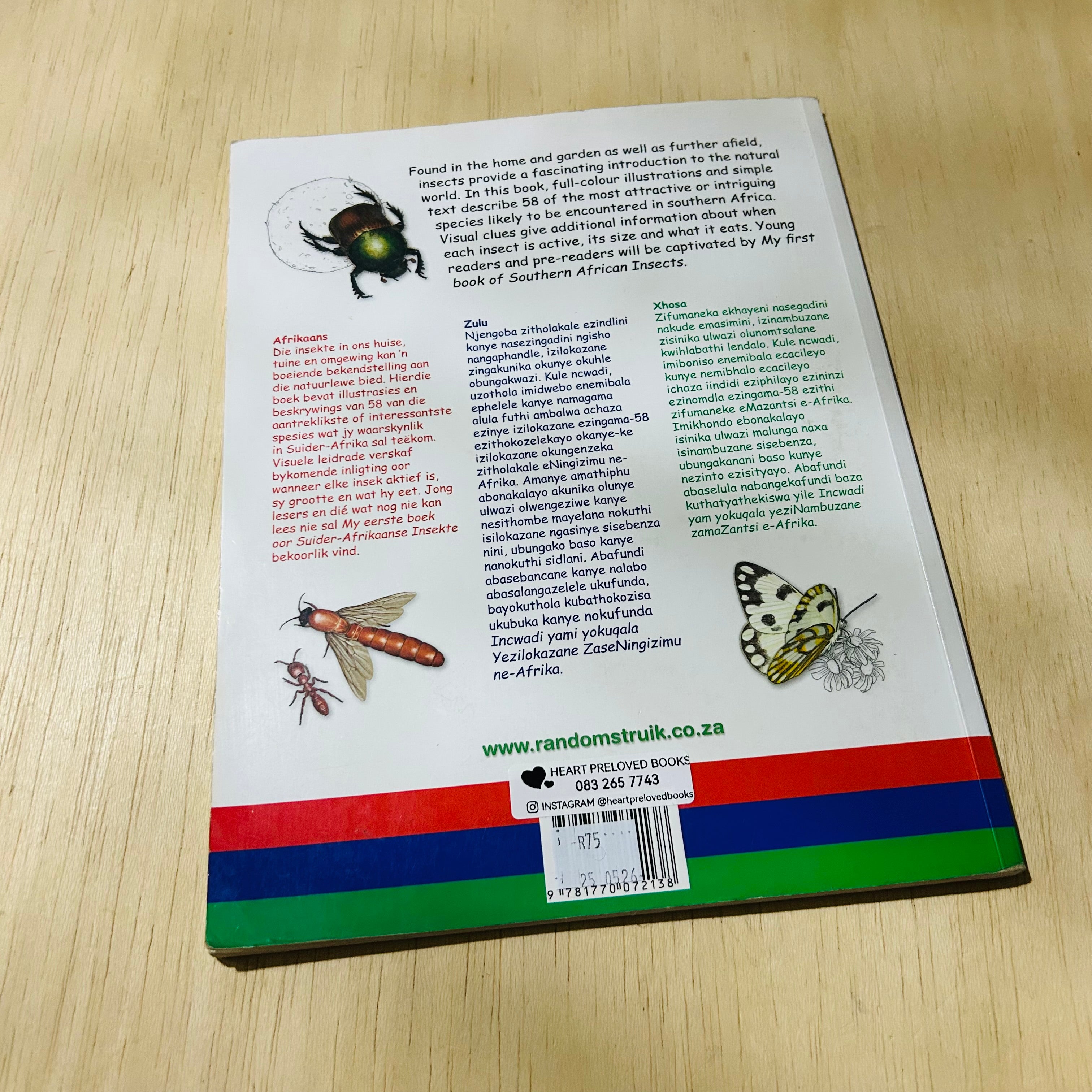 My First Book of Southern African Insects