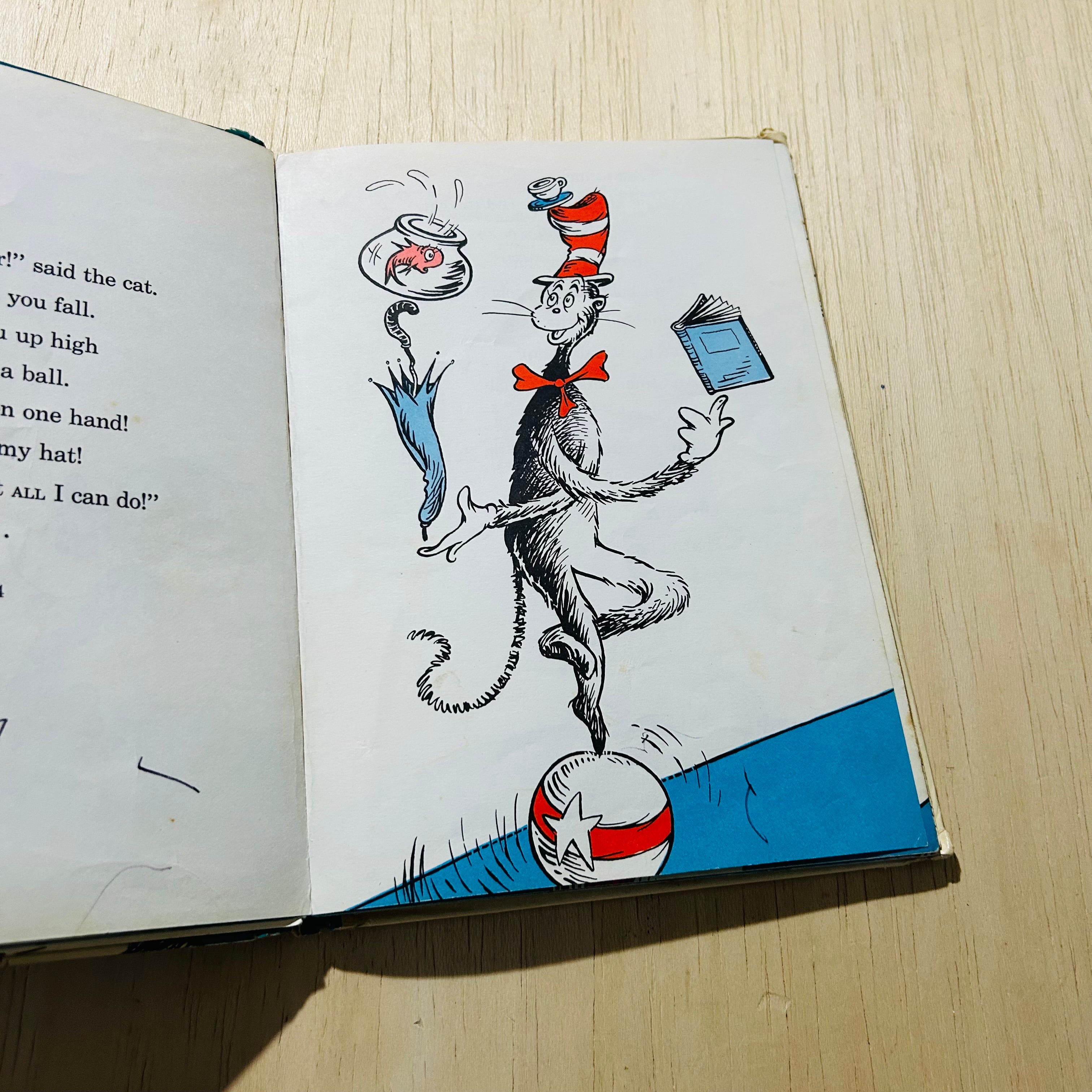 The Cat In The Hat