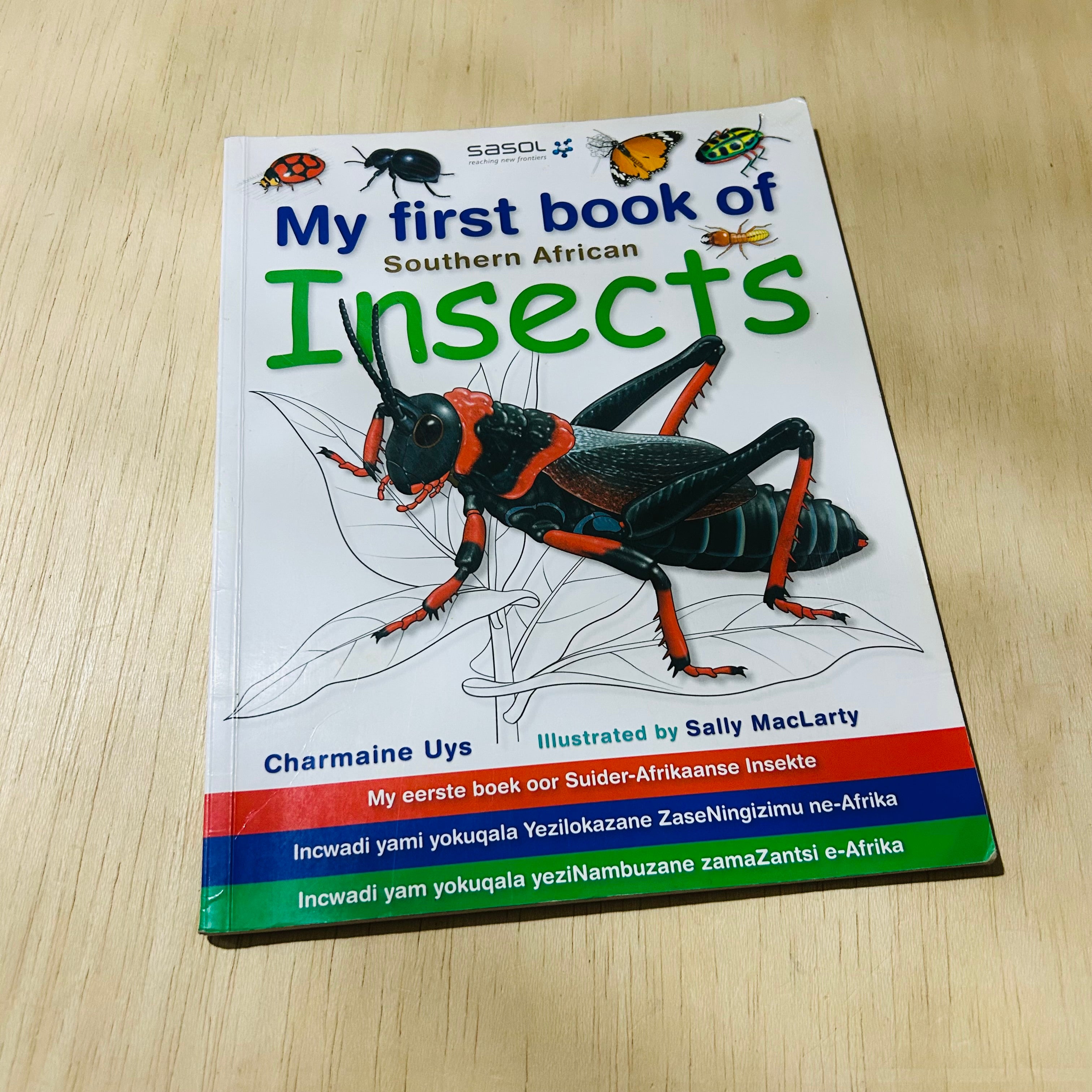My First Book of Southern African Insects