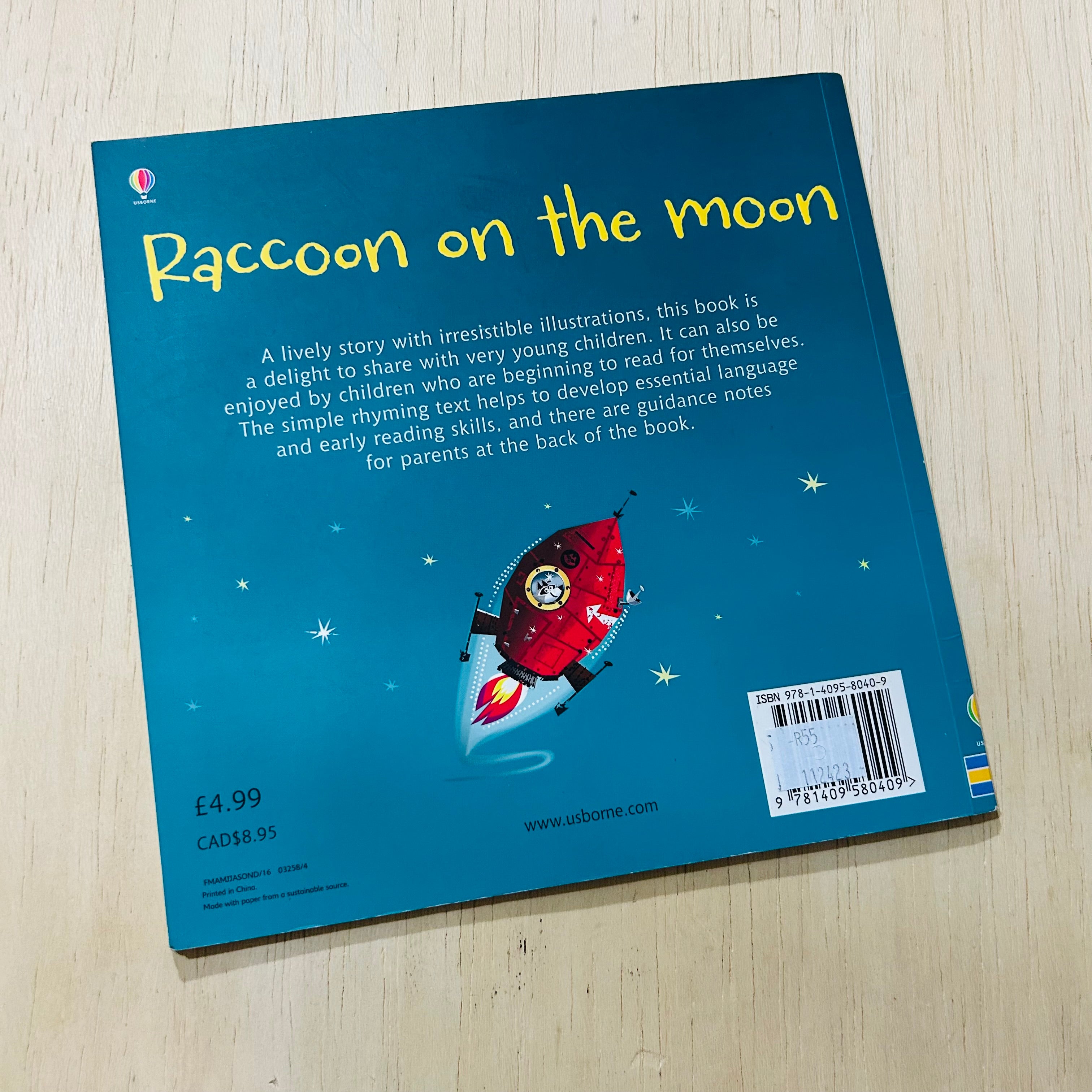 Racoon on the Moon