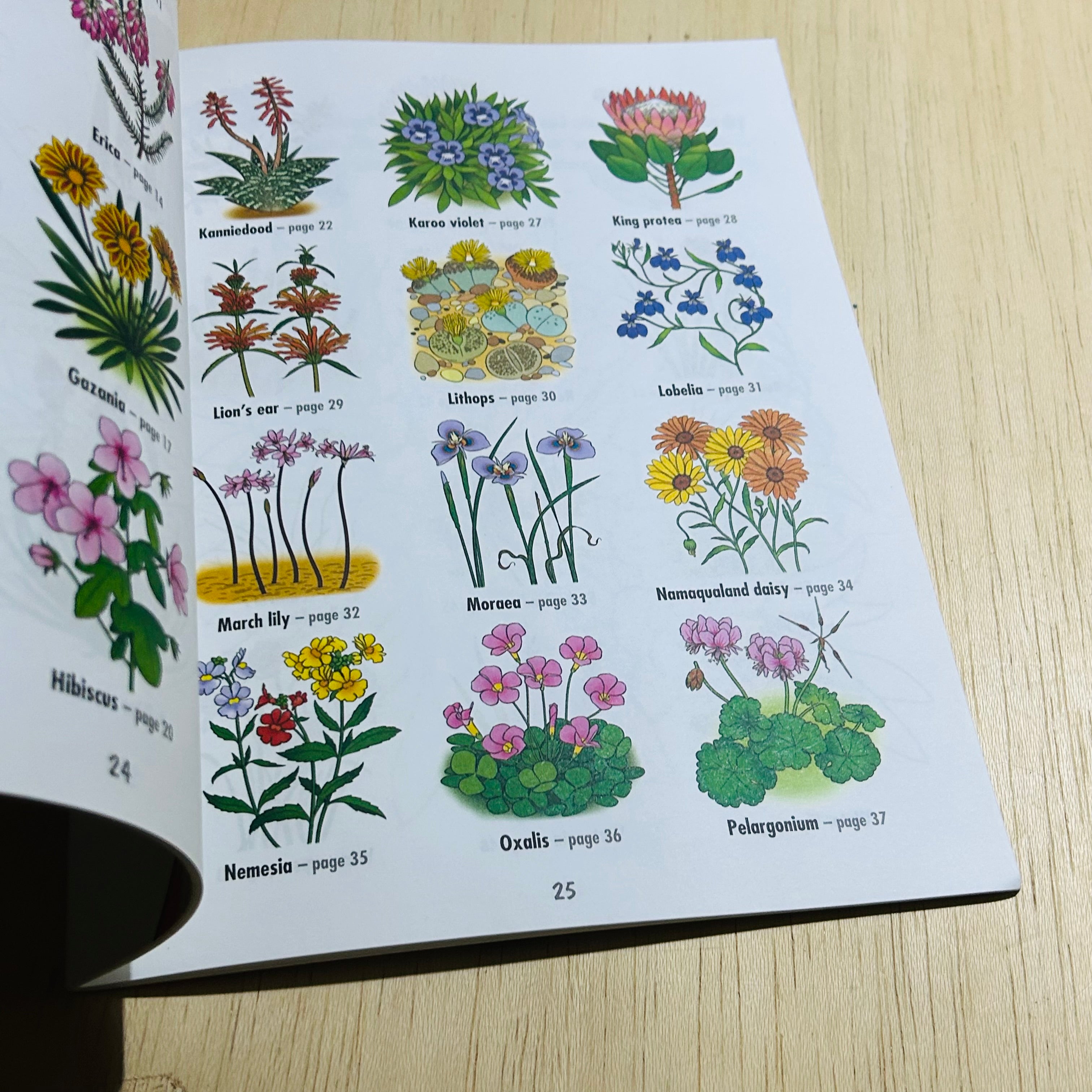 African Wild Flowers - To Read Colour and Keep