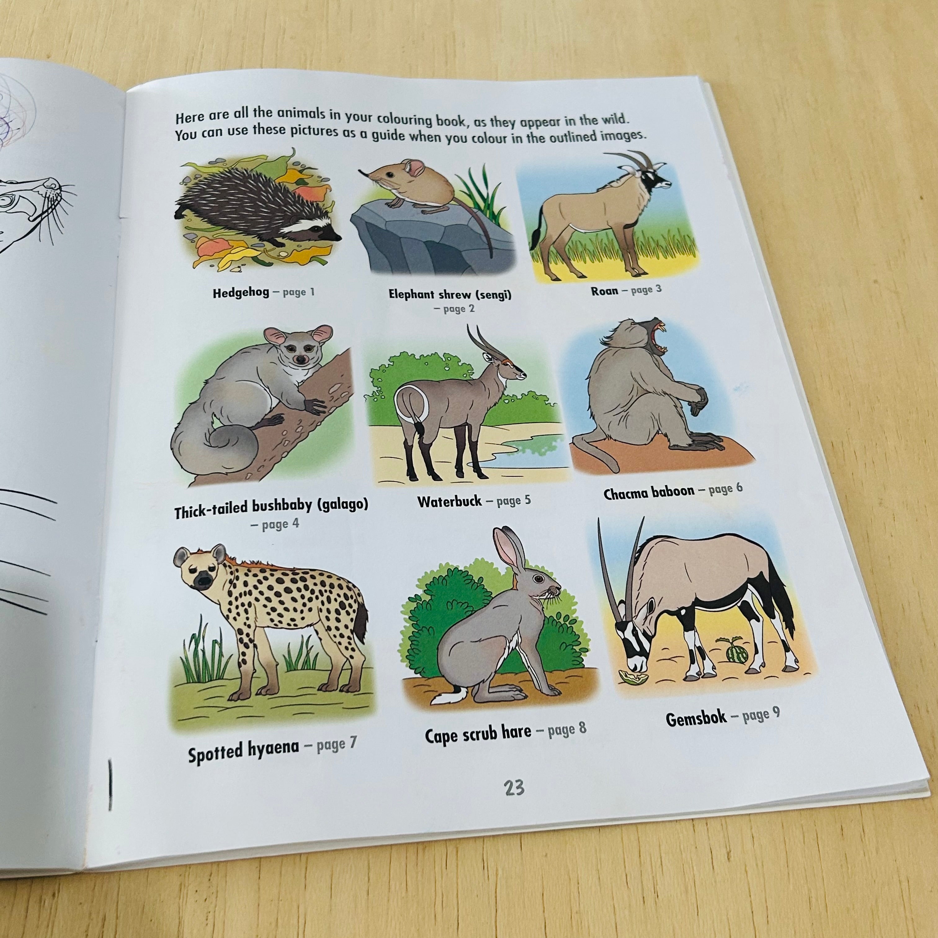 African Mammals - To Read Colour and Keep