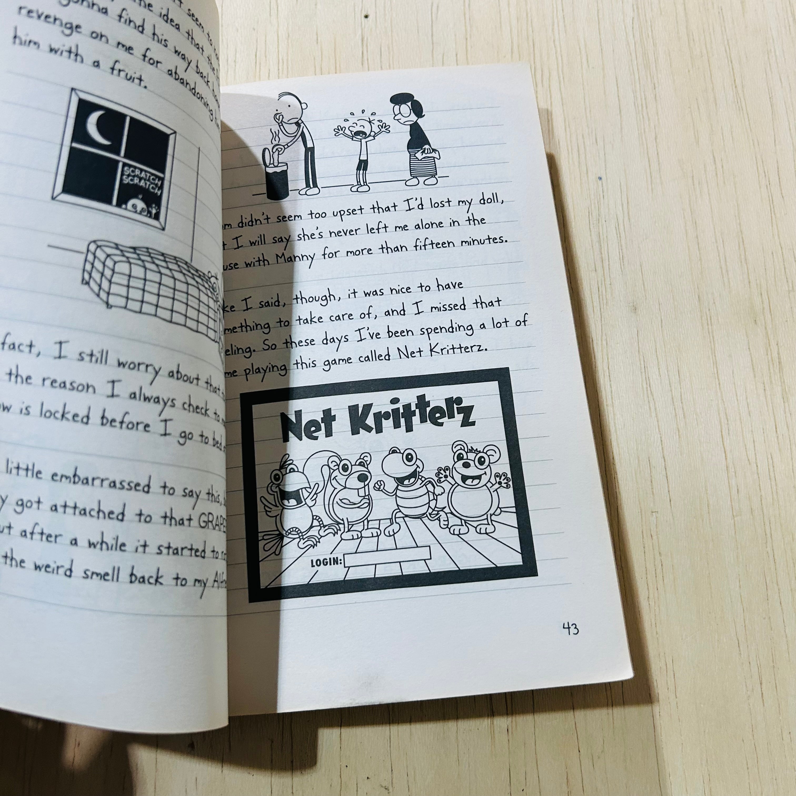 Wimpy Kid Cabin Fever