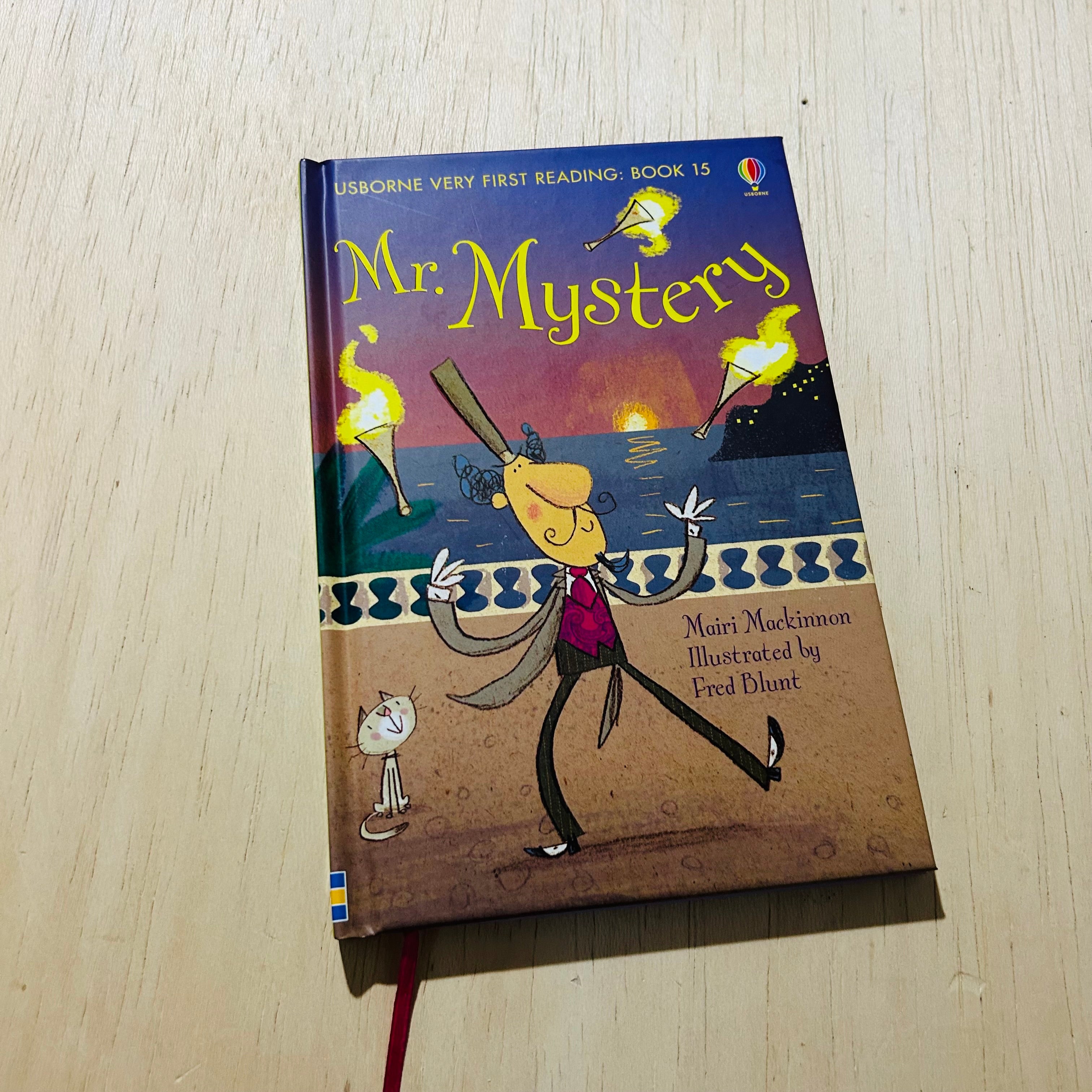 Usborne Mr Mystery - Hardcover