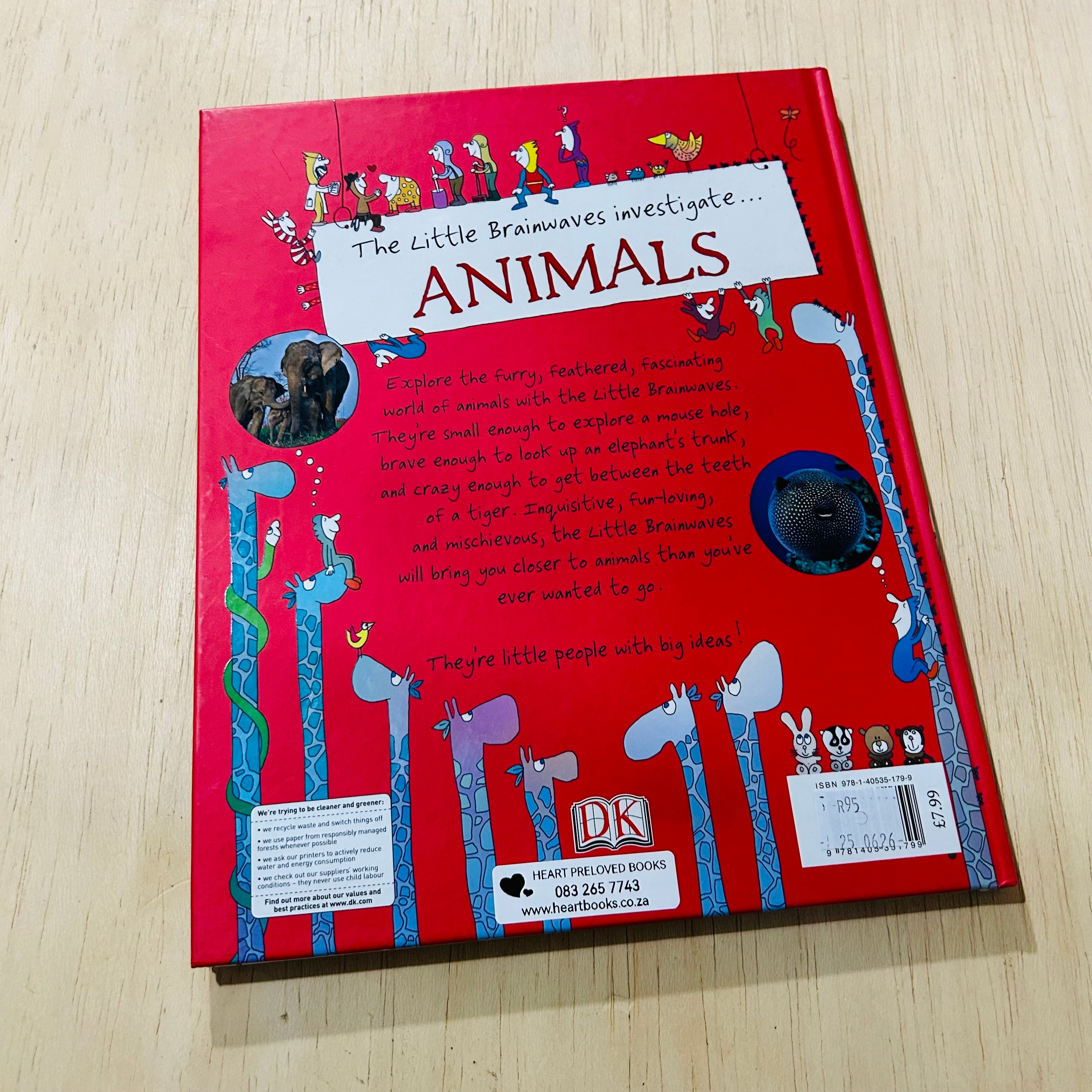 Little Brainwaves Investigate Animals