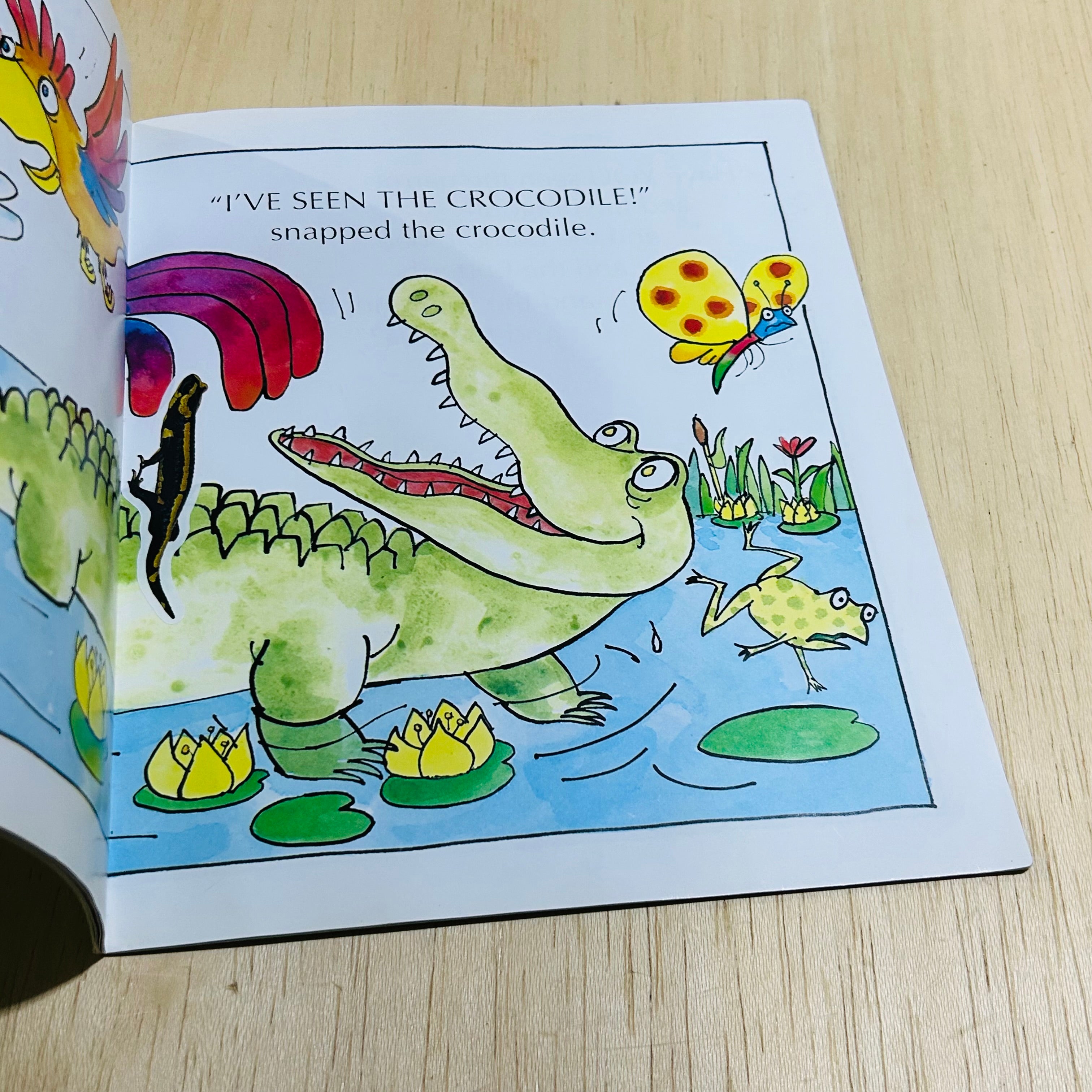 Have You Seen the Crocodile