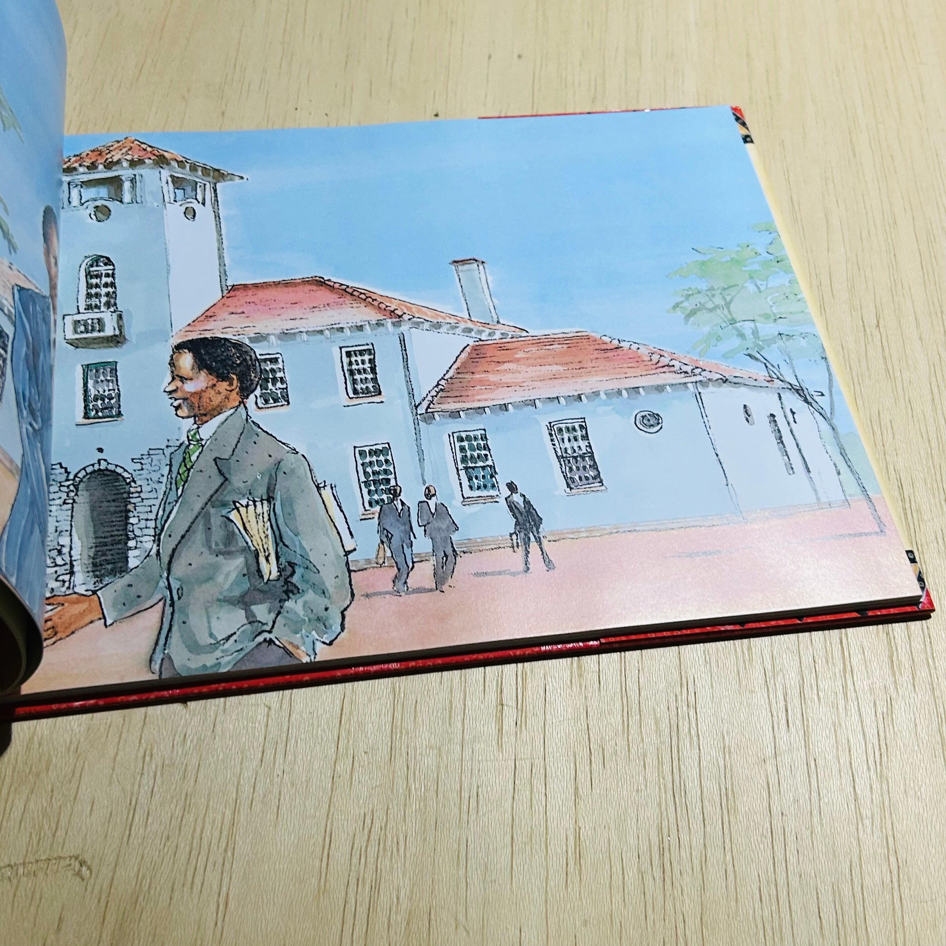 Nelson Mandela Long Walk to Freedom - Hardcover