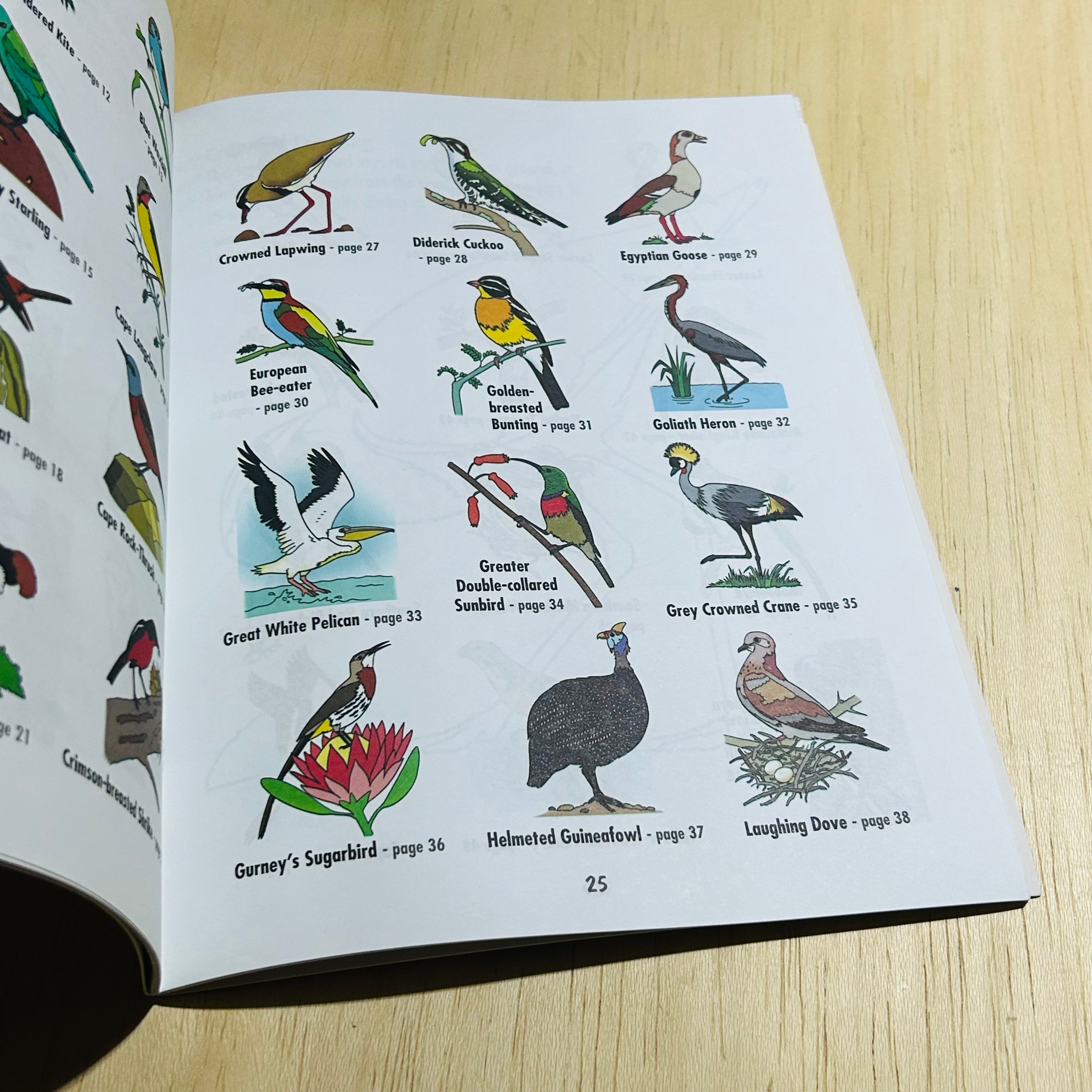 African Birds - To Read Colour and Keep