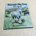 Bonny's Big Day