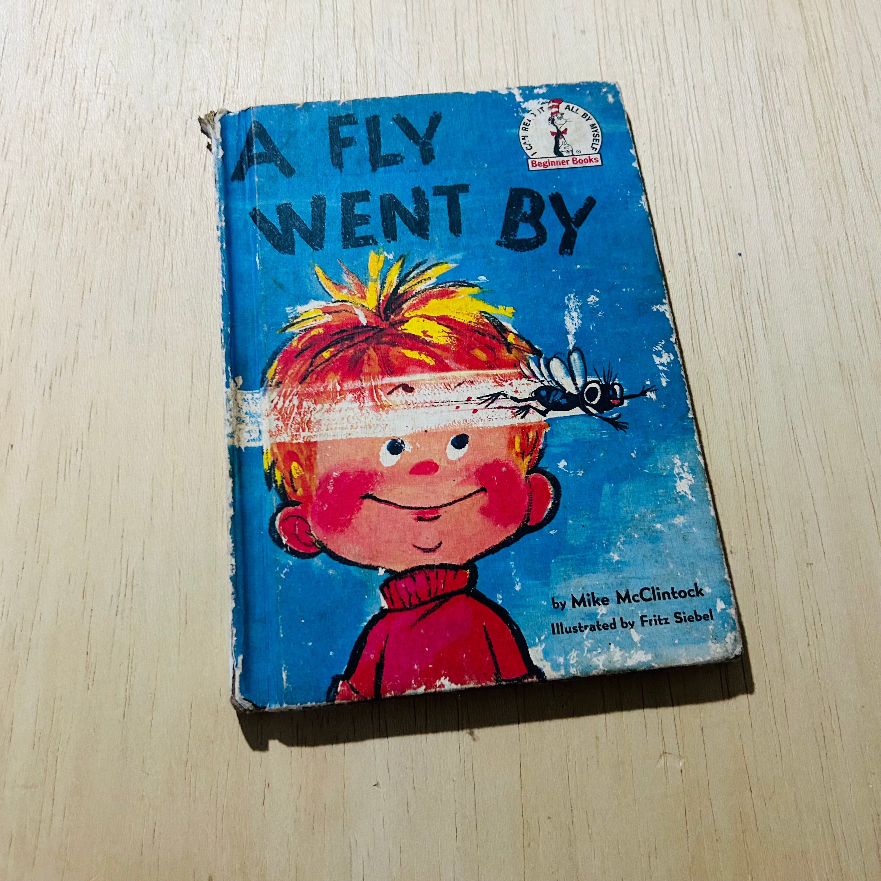 A Fly Went By