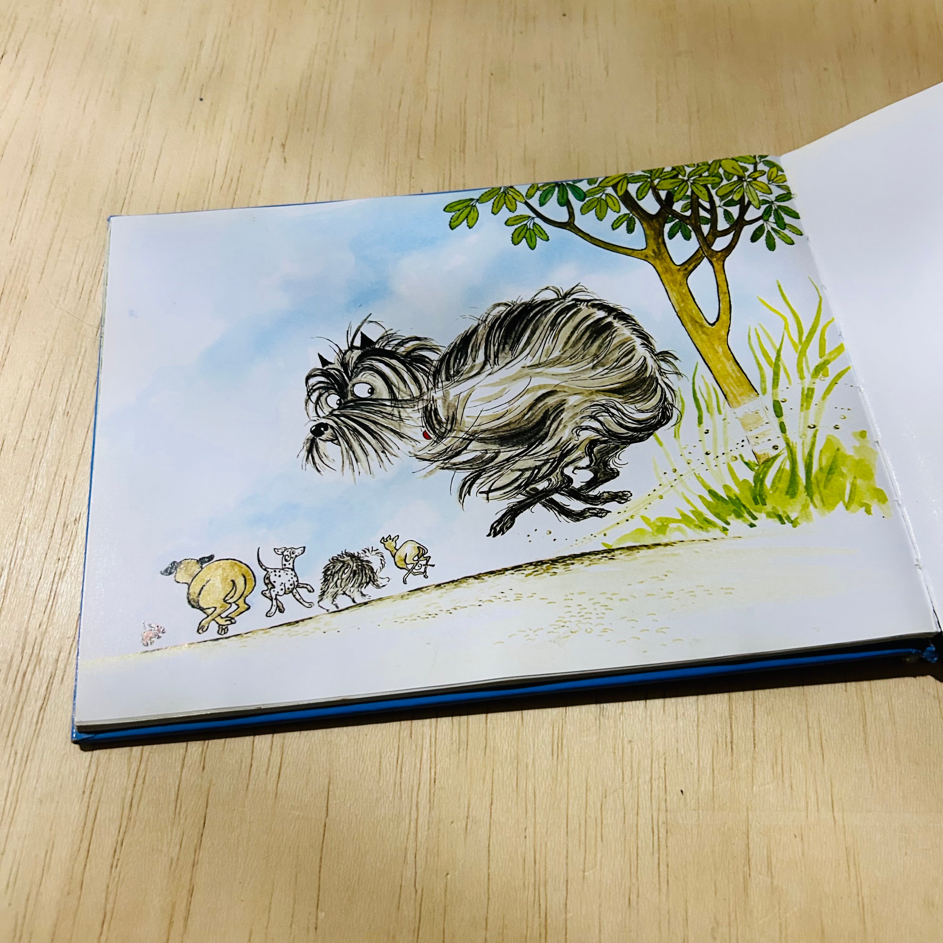 Hairy Maclary 5 Lynley Dodd Stories