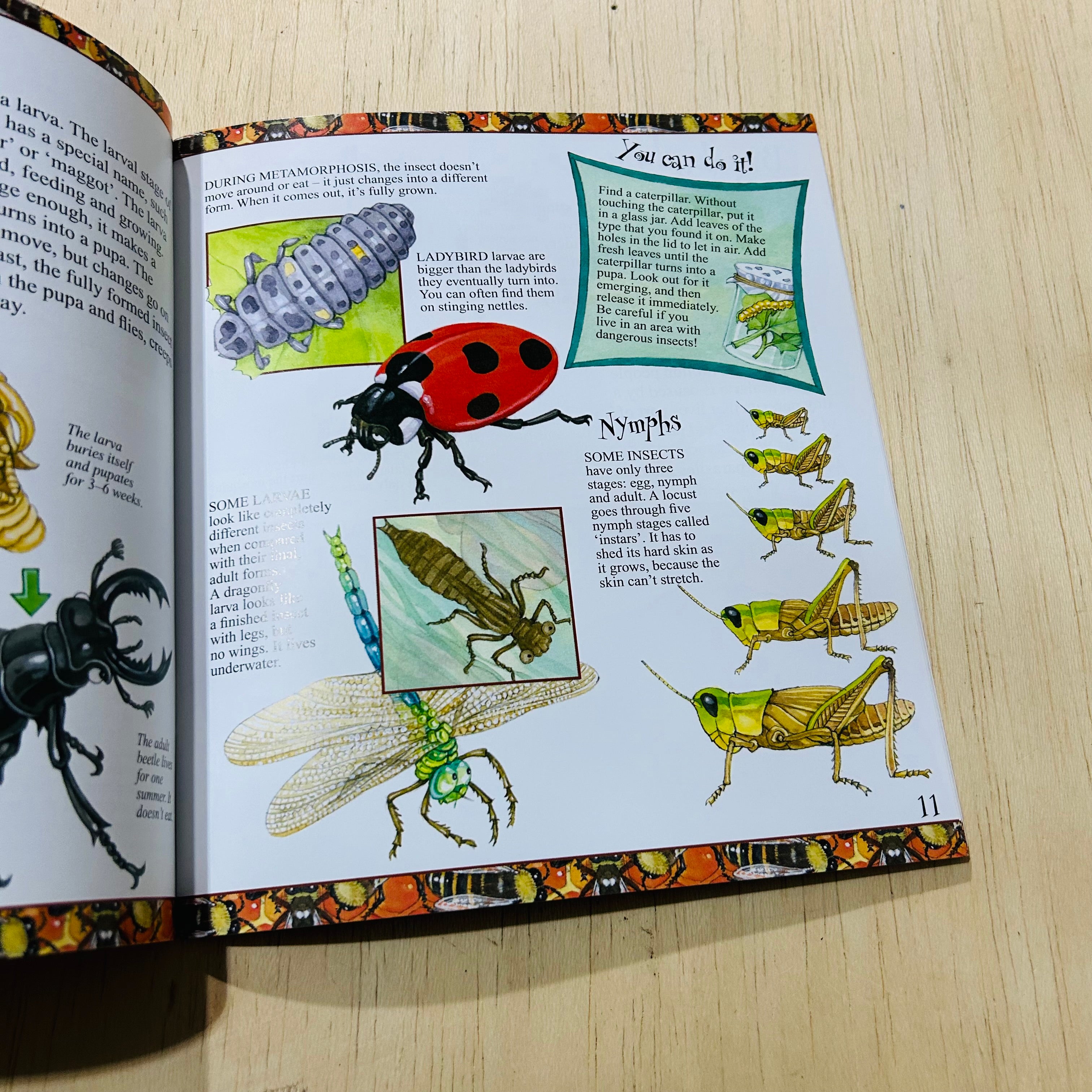 You Wouldn't Want to Live Without Insects