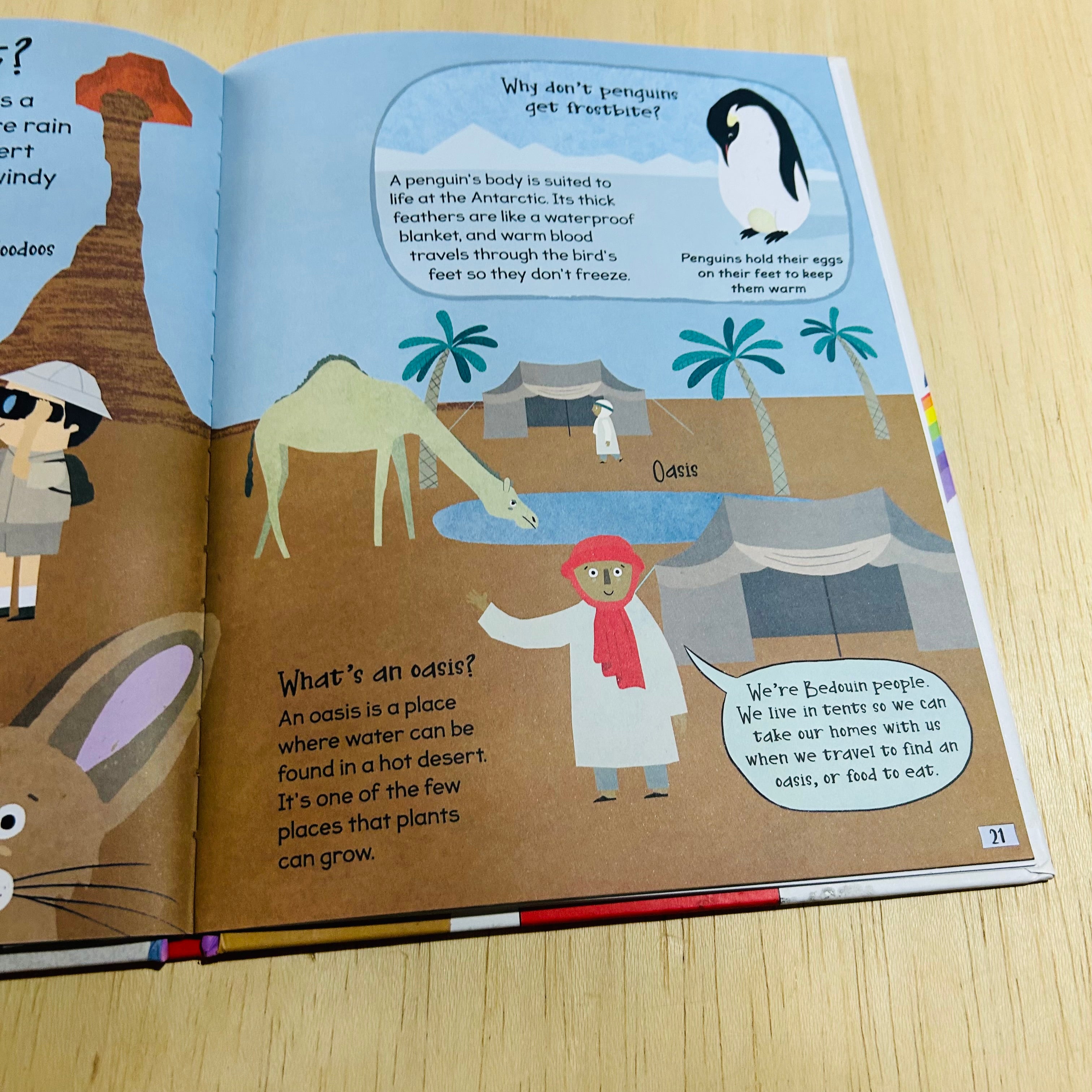 Curious Q and A About Our Planet - Hardcover