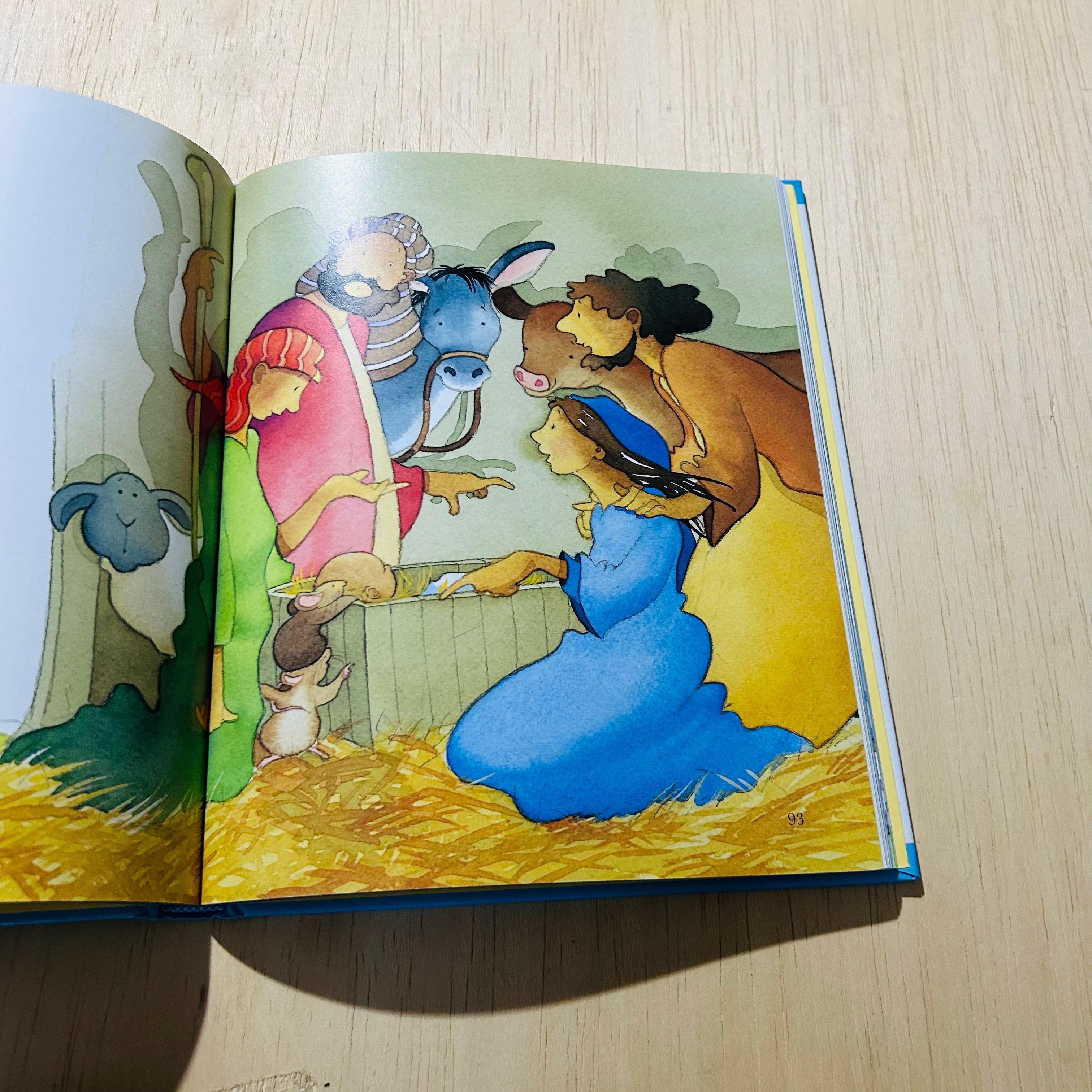 Baby Boy Bible
