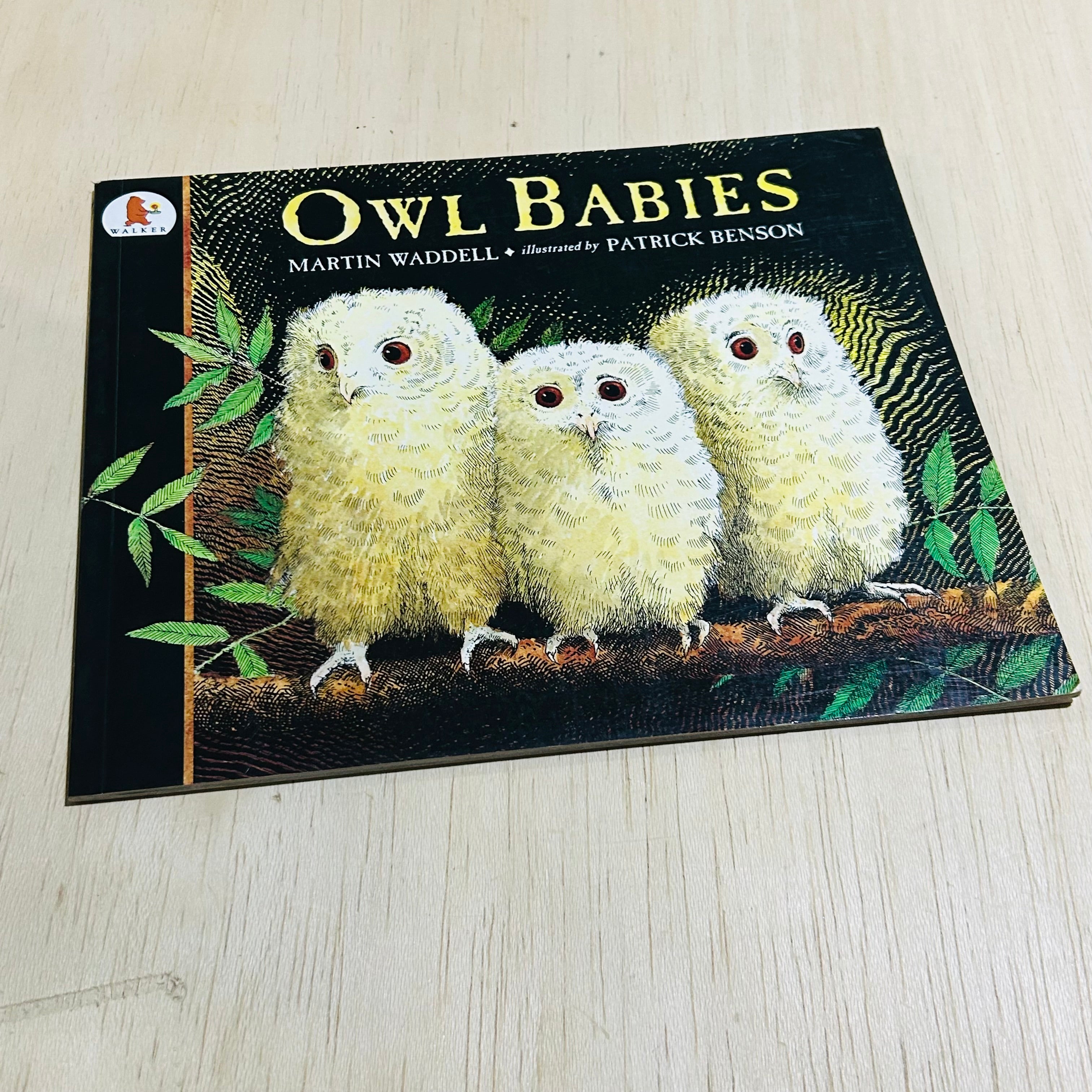 Owl Babies