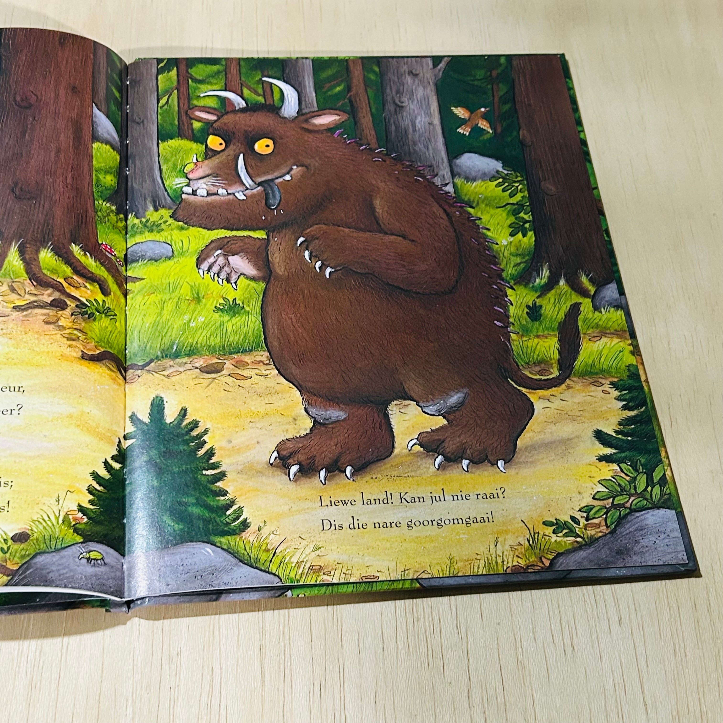 Die Goorgomgaai - Hardcover