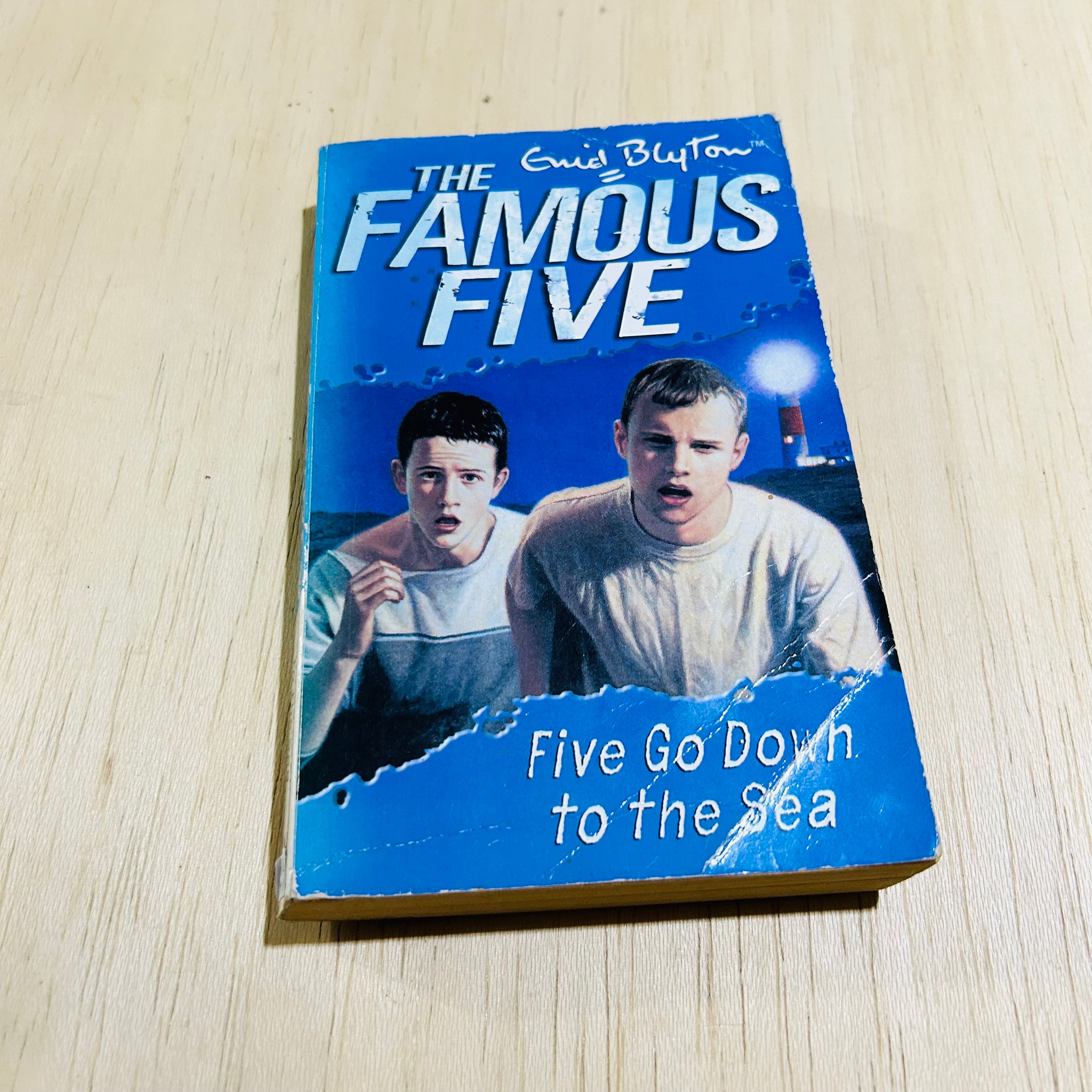 Five Go Down to the Sea