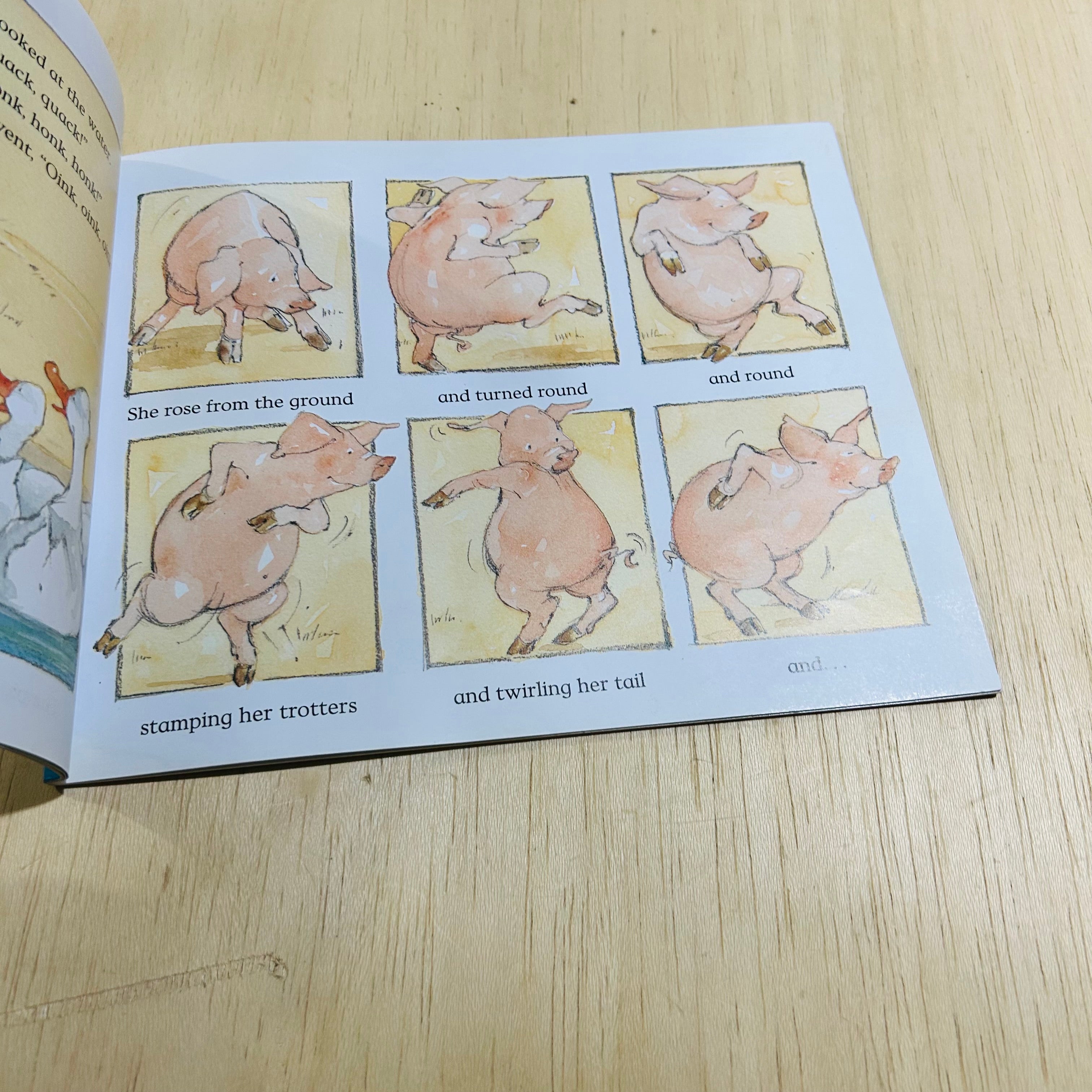The Pig in the Pond