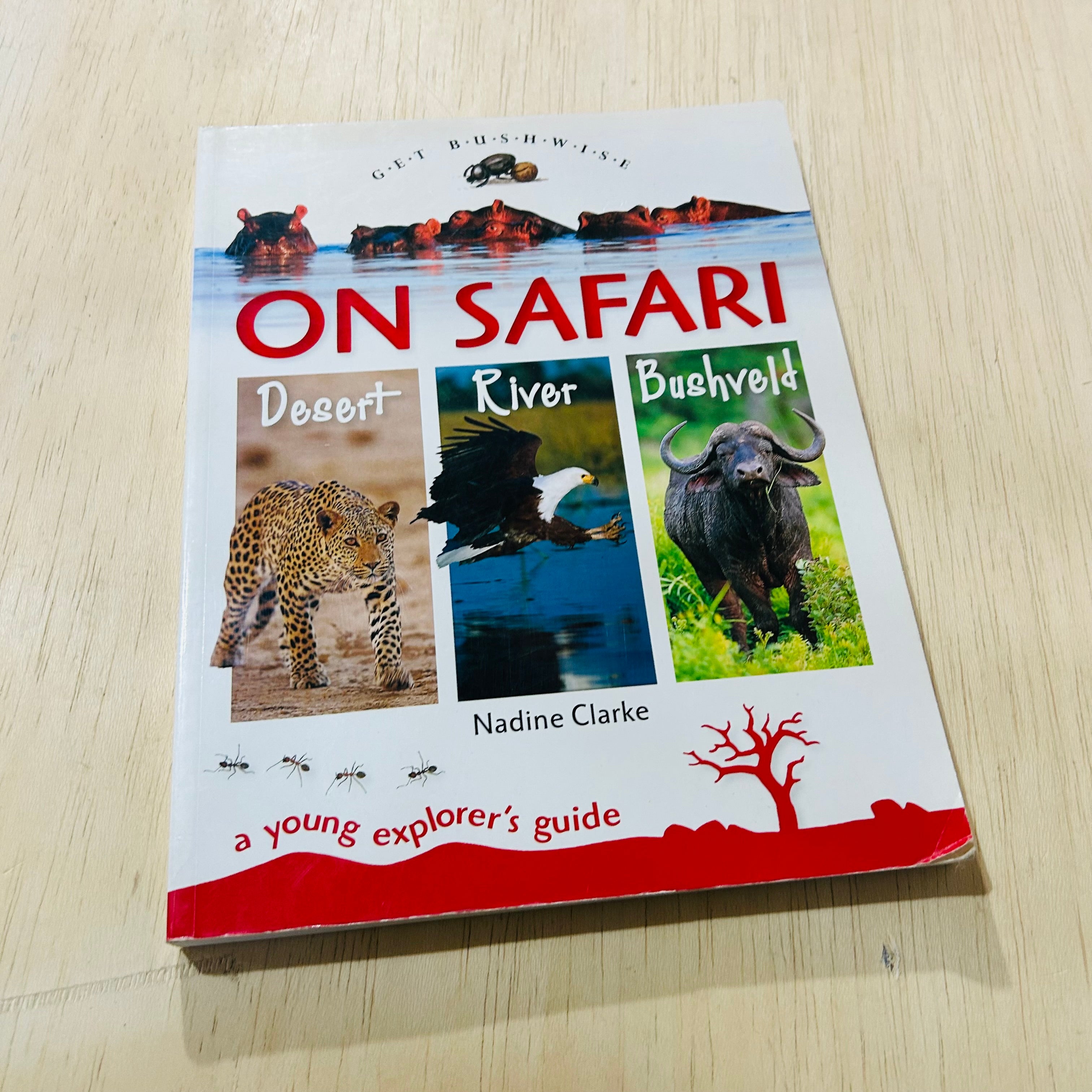 On Safari - Desert River Bushveld
