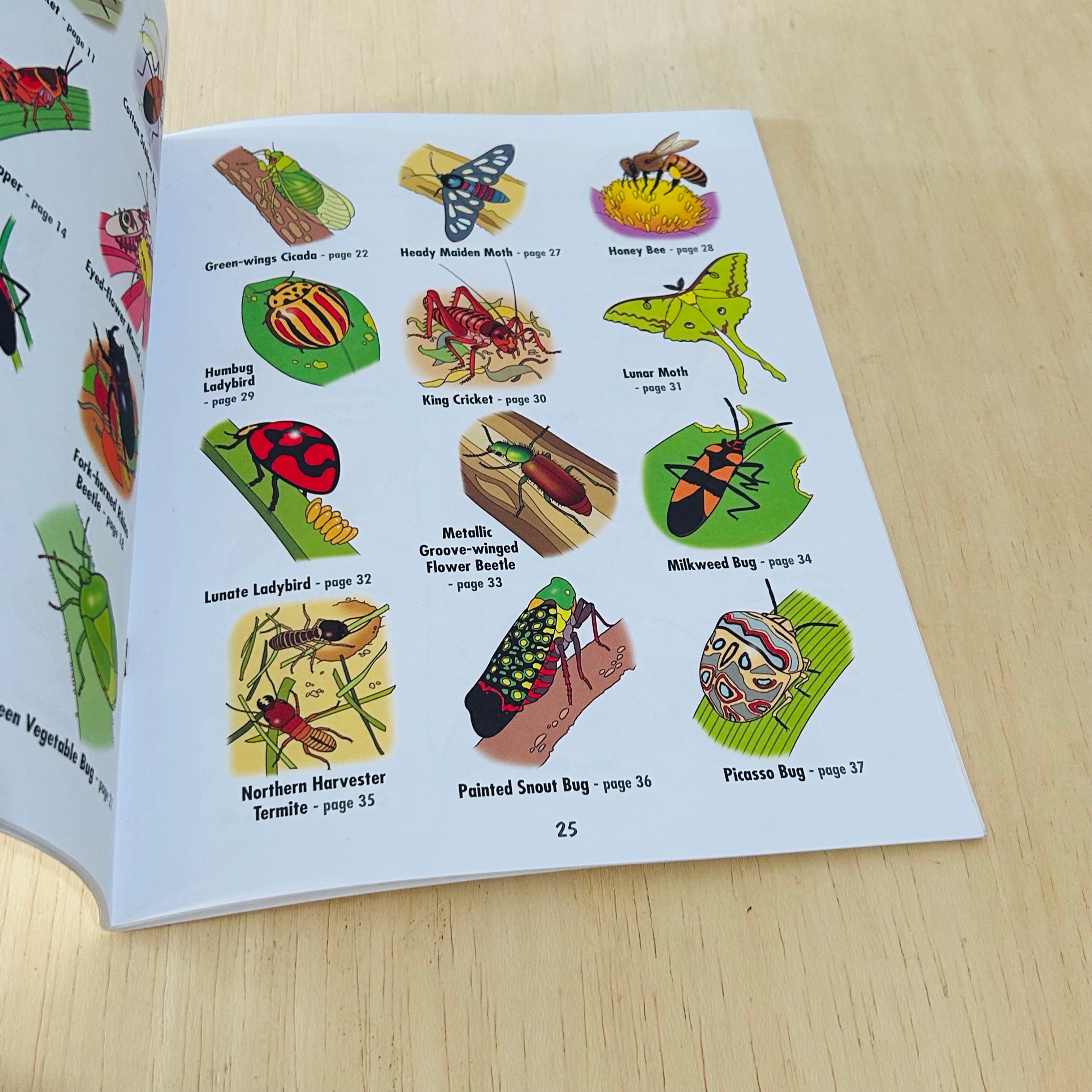 African Insects - To Read Colour and Keep