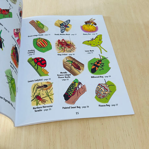 African Insects - To Read Colour and Keep
