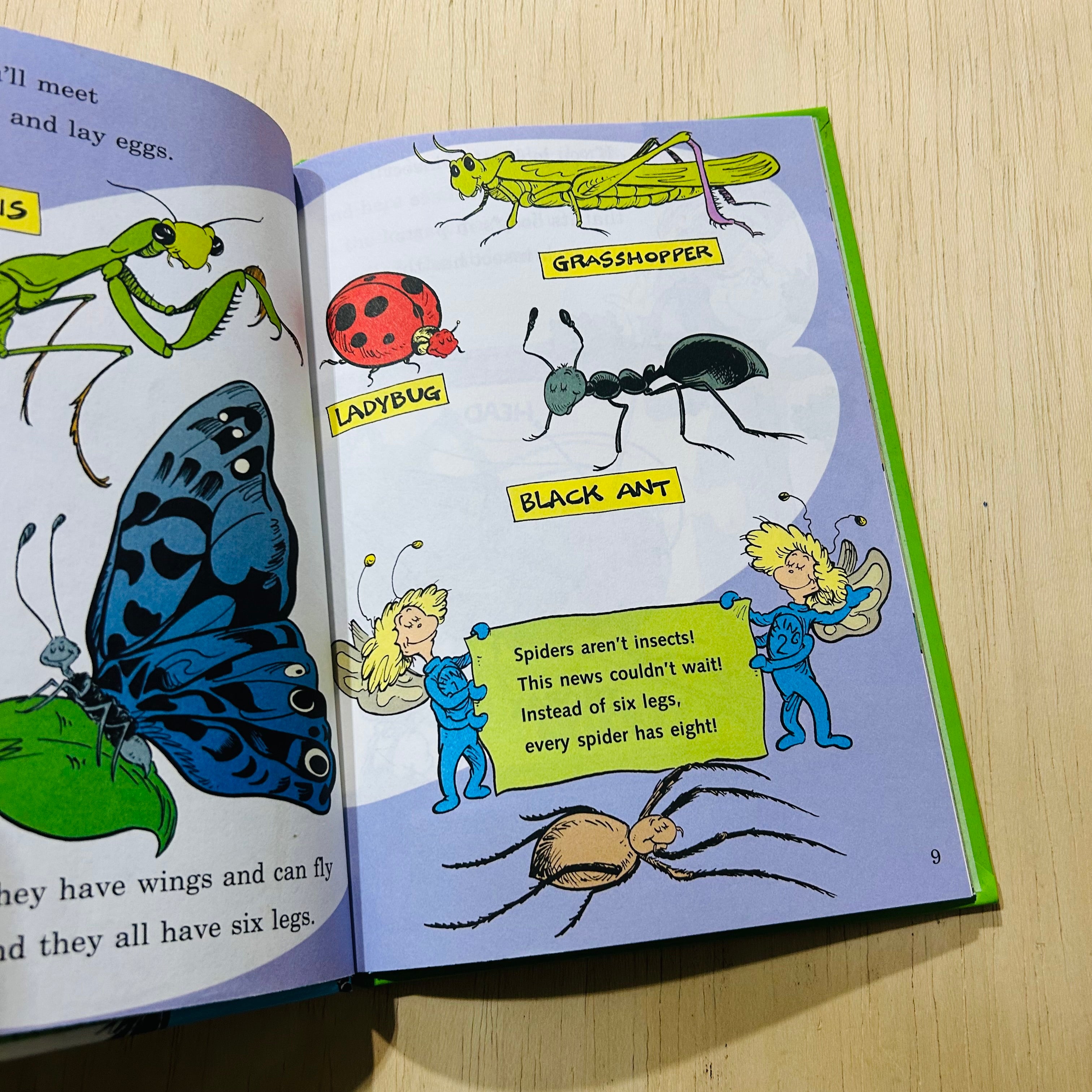 Oh Beyond Bugs - Hardcover