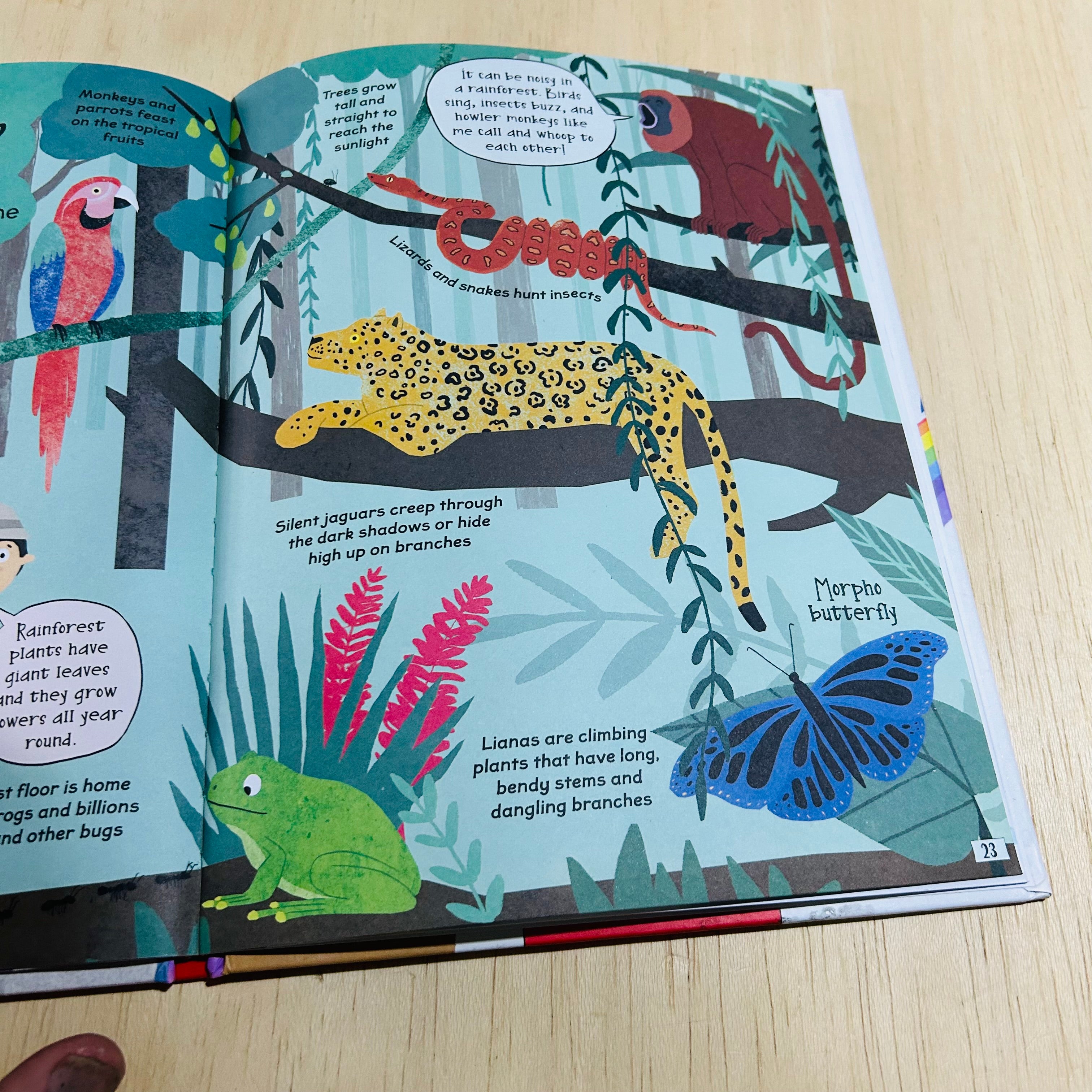 Curious Q and A About Our Planet - Hardcover