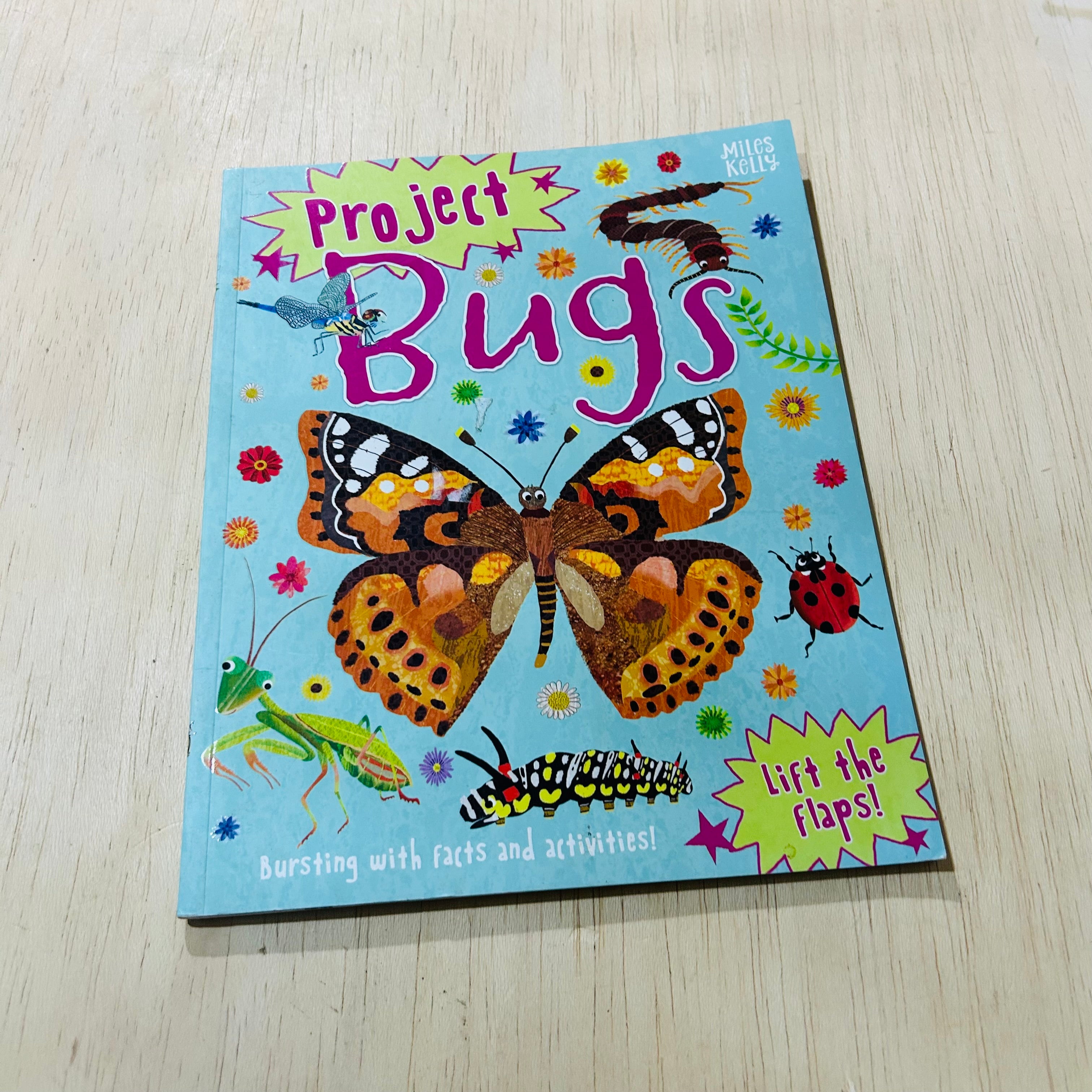 Project Bugs