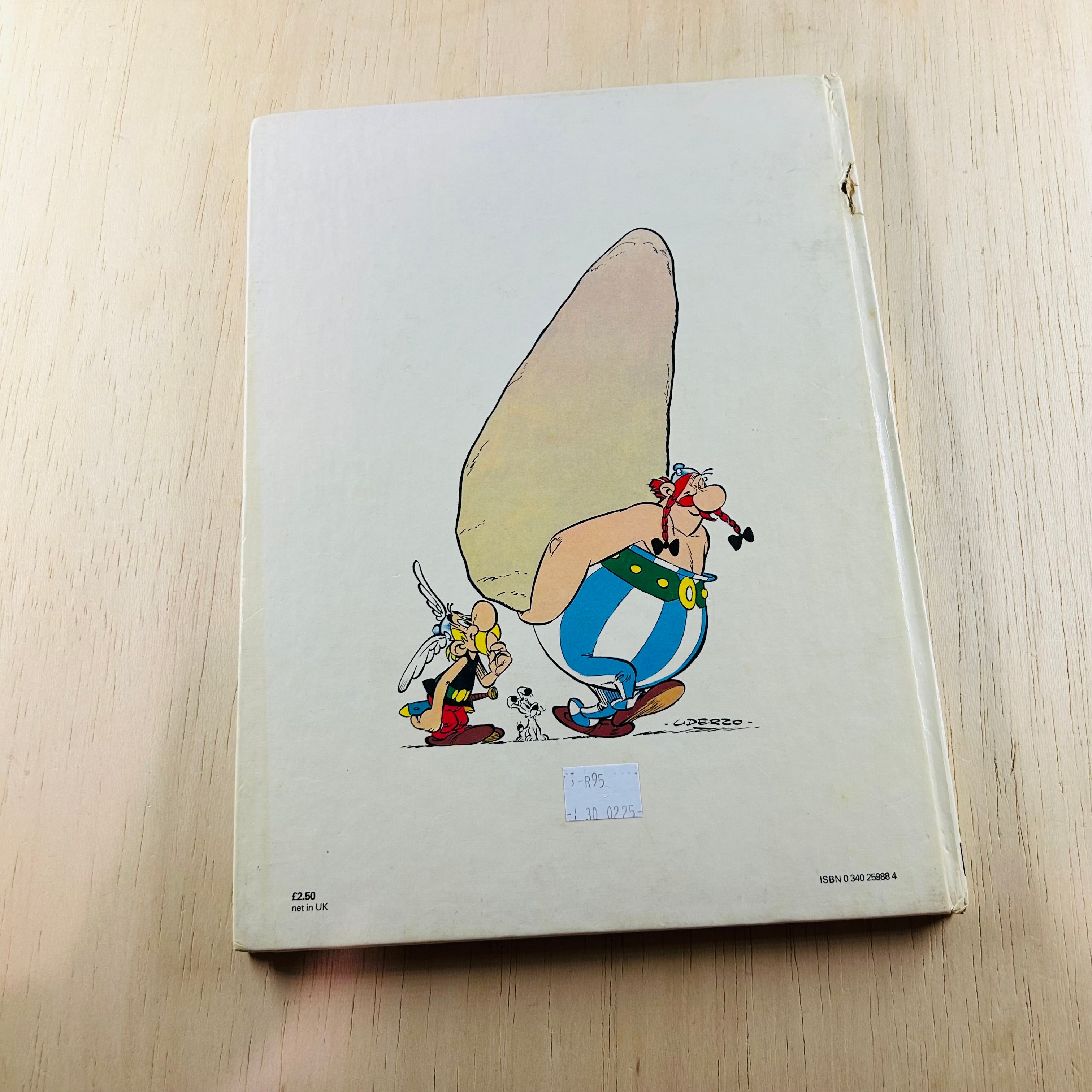 Asterix and the Great Divide