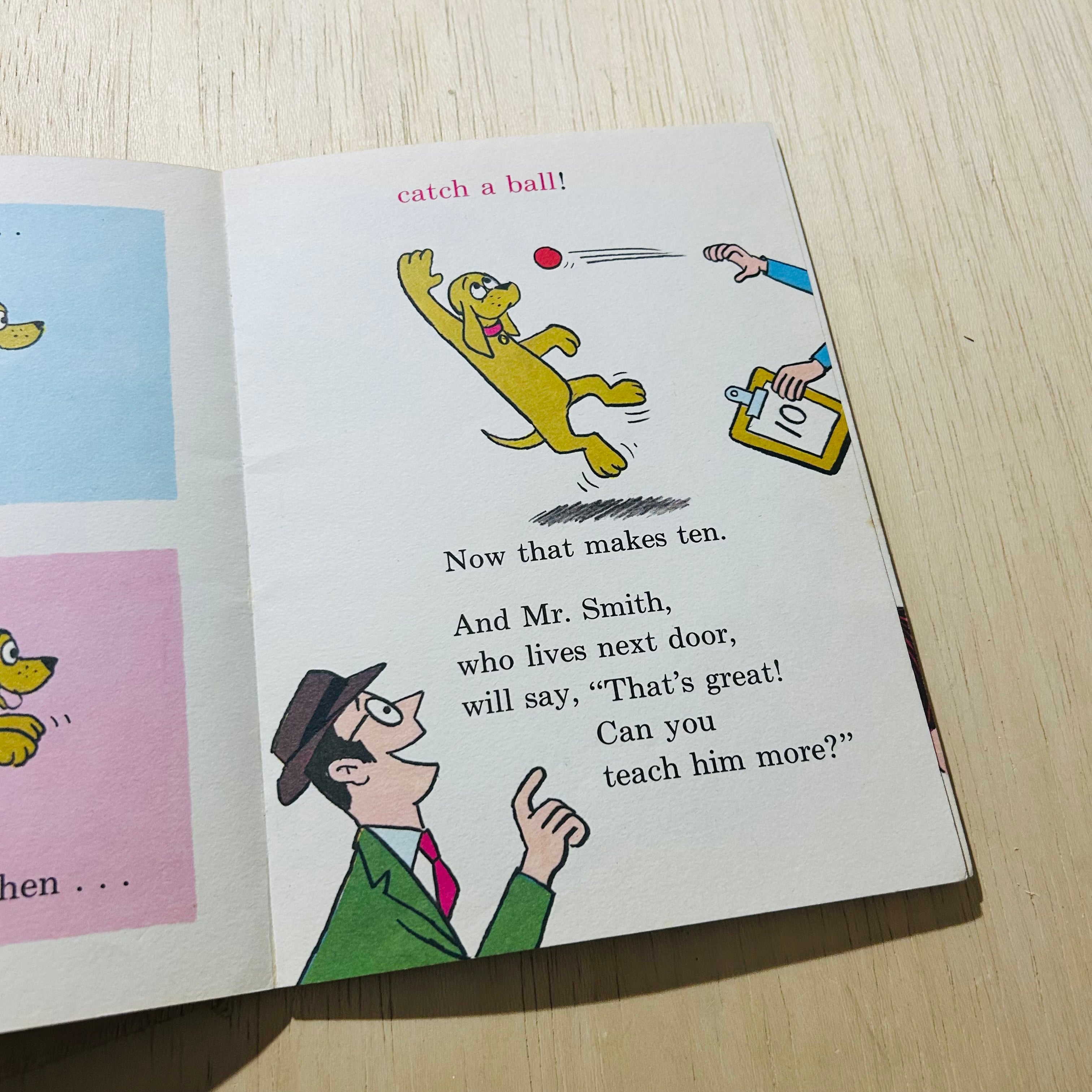 I'll Teach My Dog 100 Words