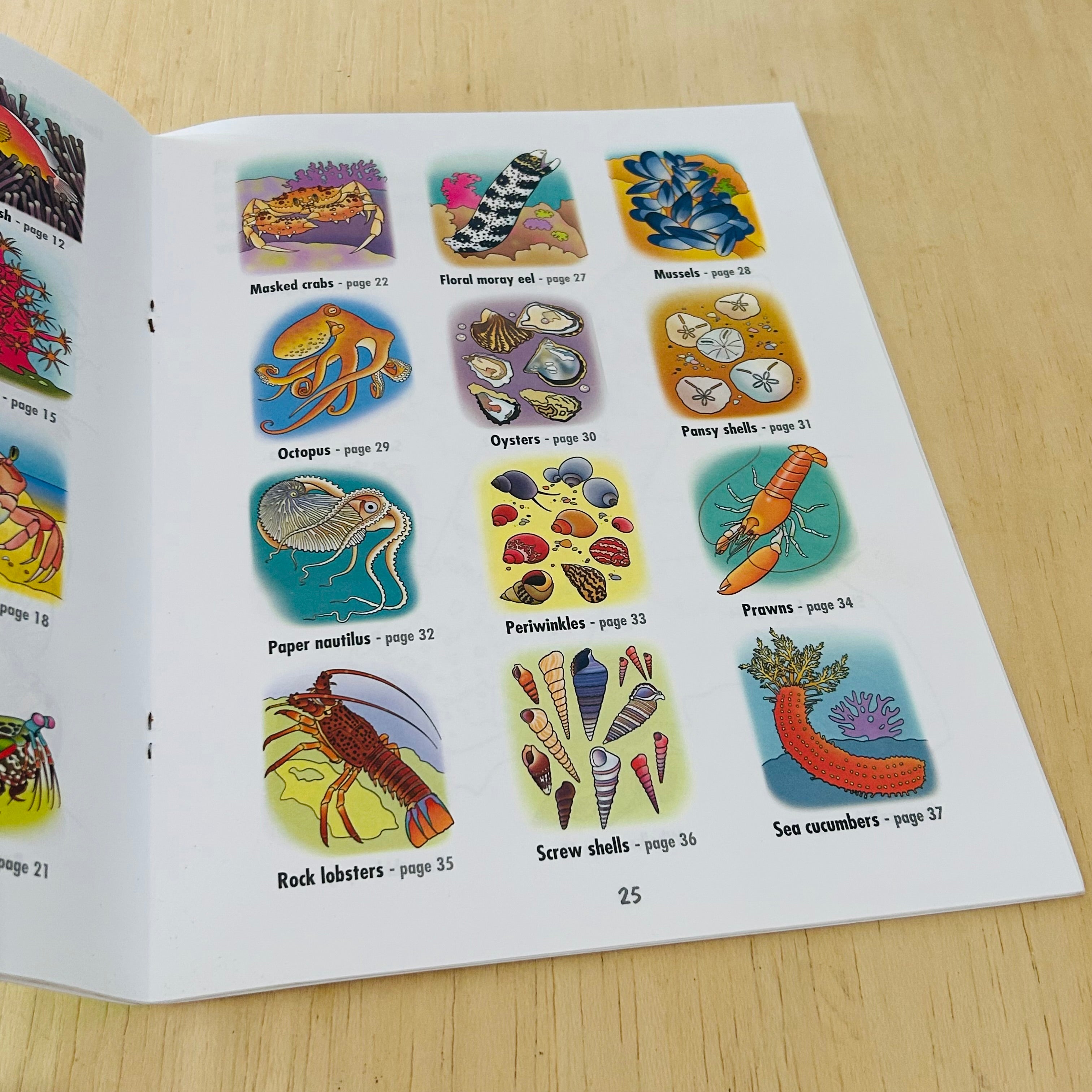 African Seashores  - To Read Colour and Keep