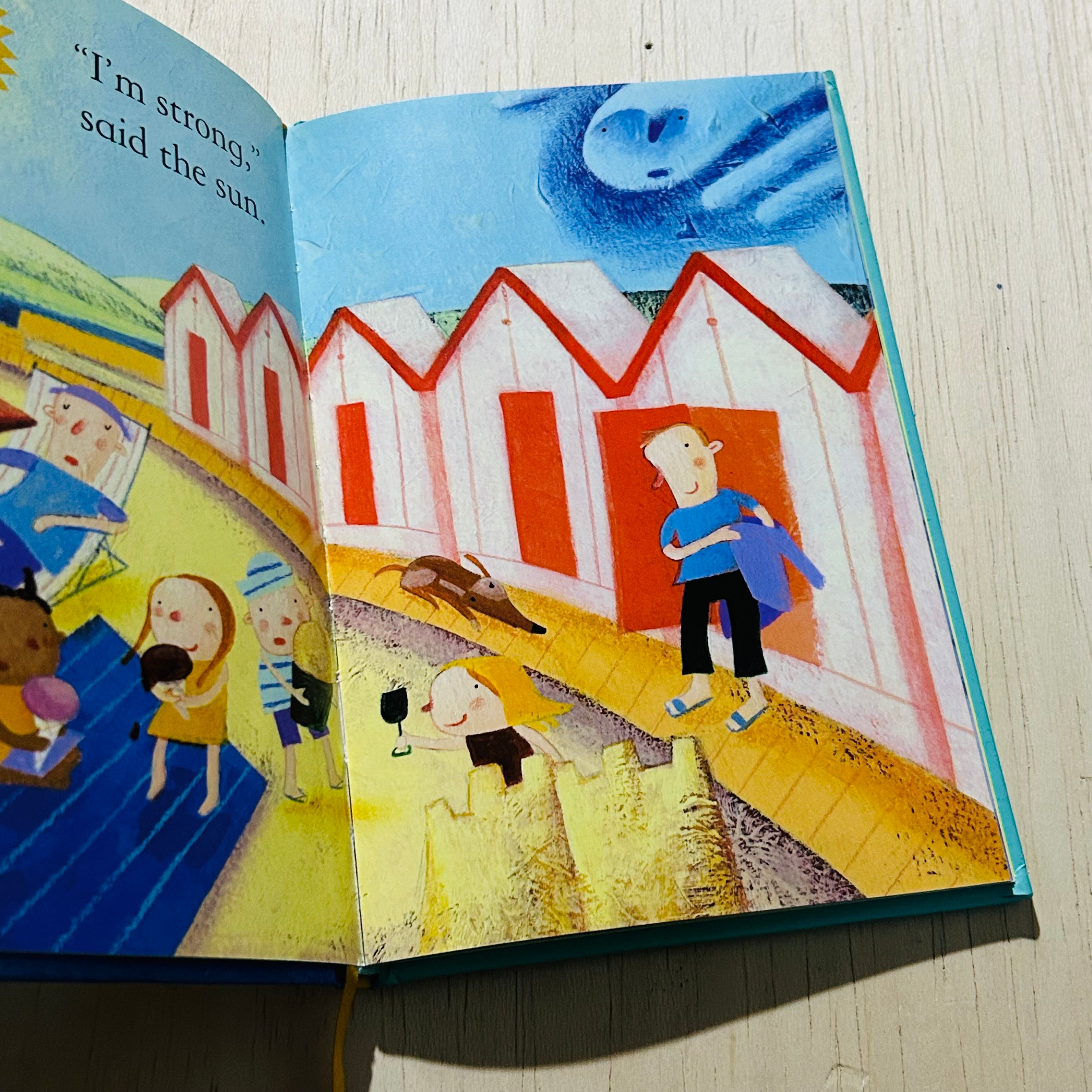 The Sun and the Wind - Hardcover