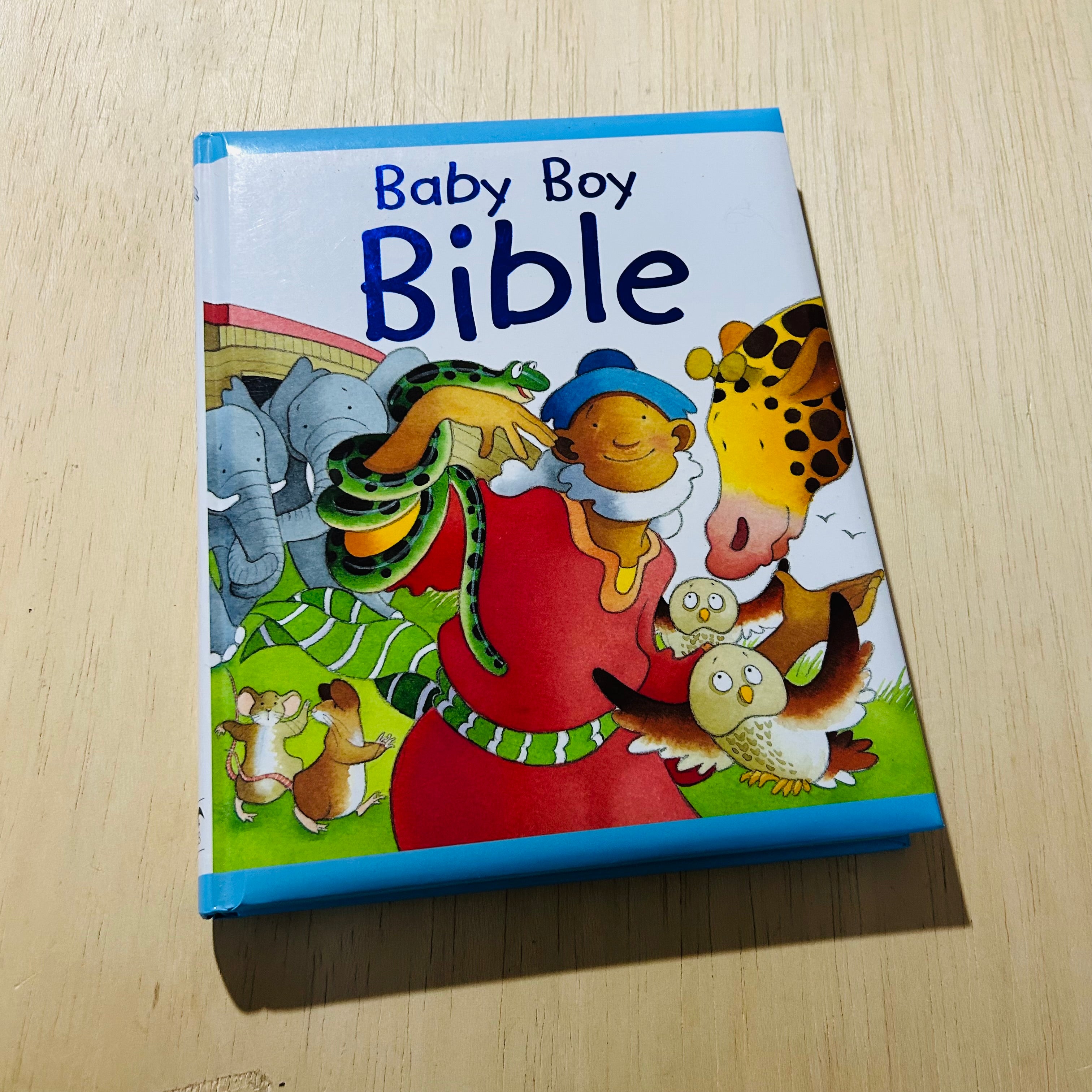 Baby Boy Bible