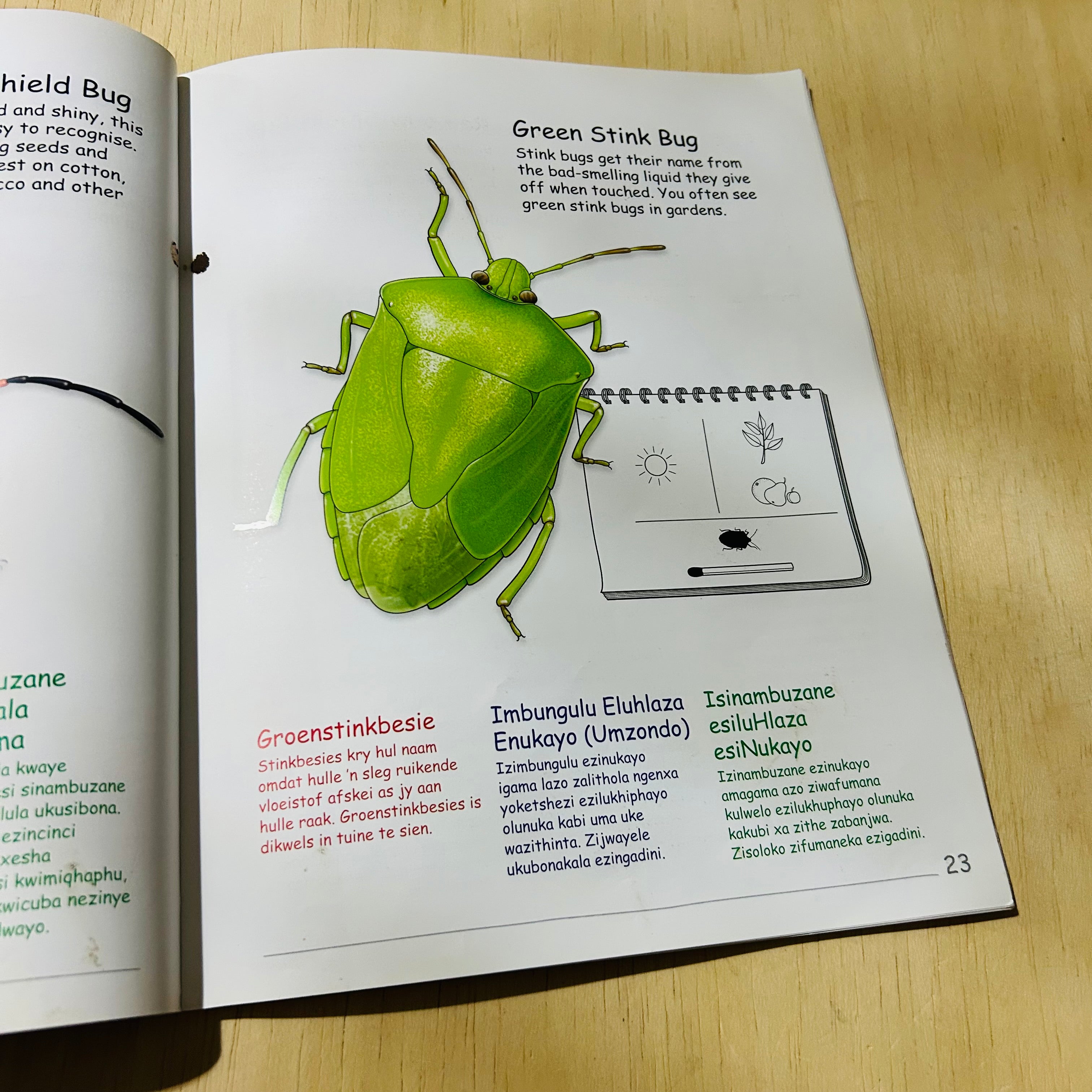 My First Book of Southern African Insects