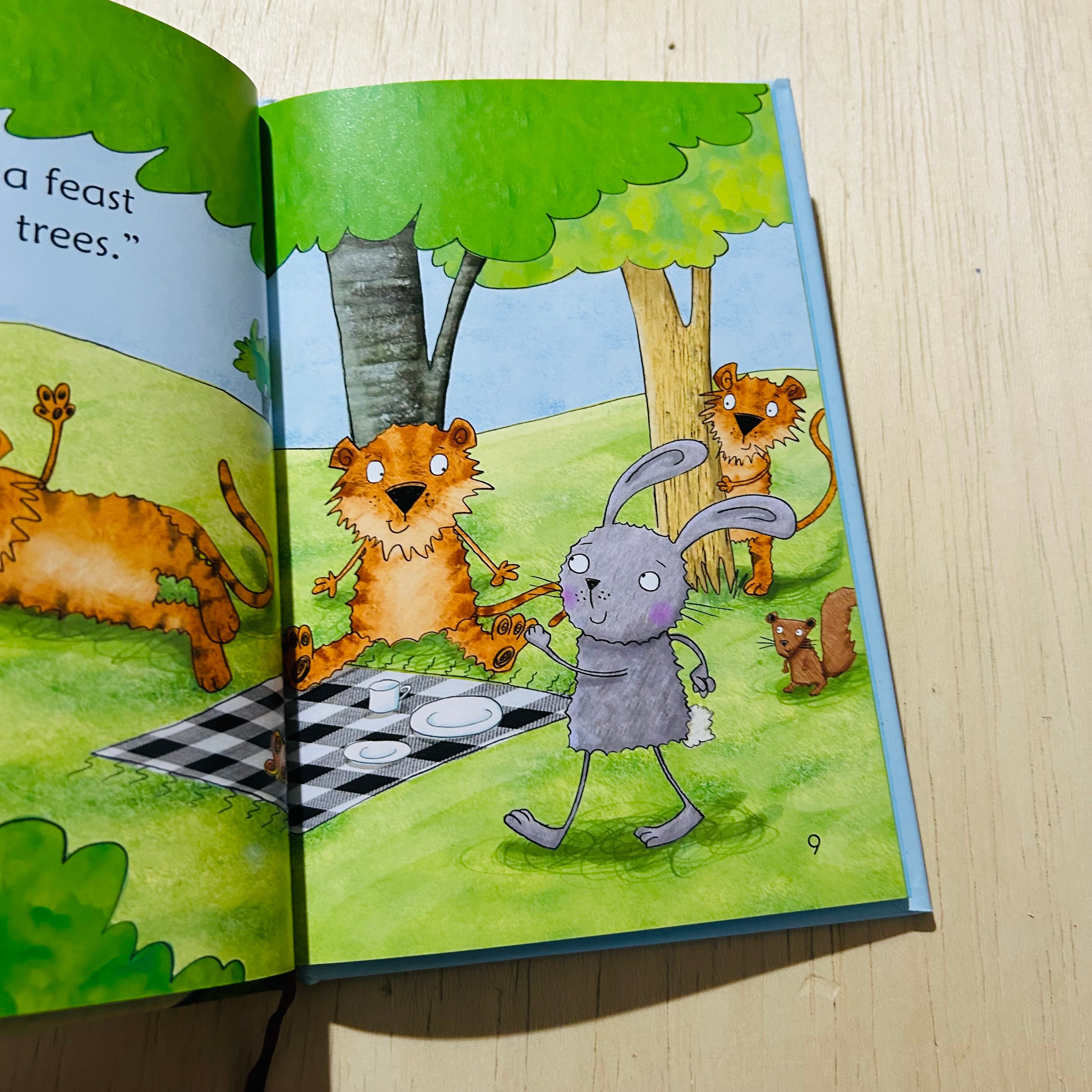 Usborne Run Rabbit Run - Hardcover