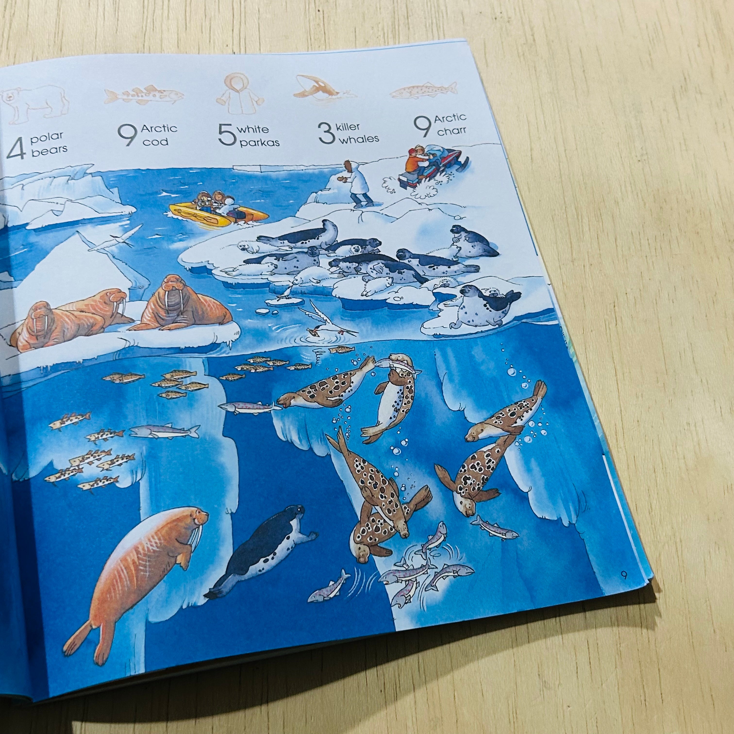 1001 Things To Spot in the Sea