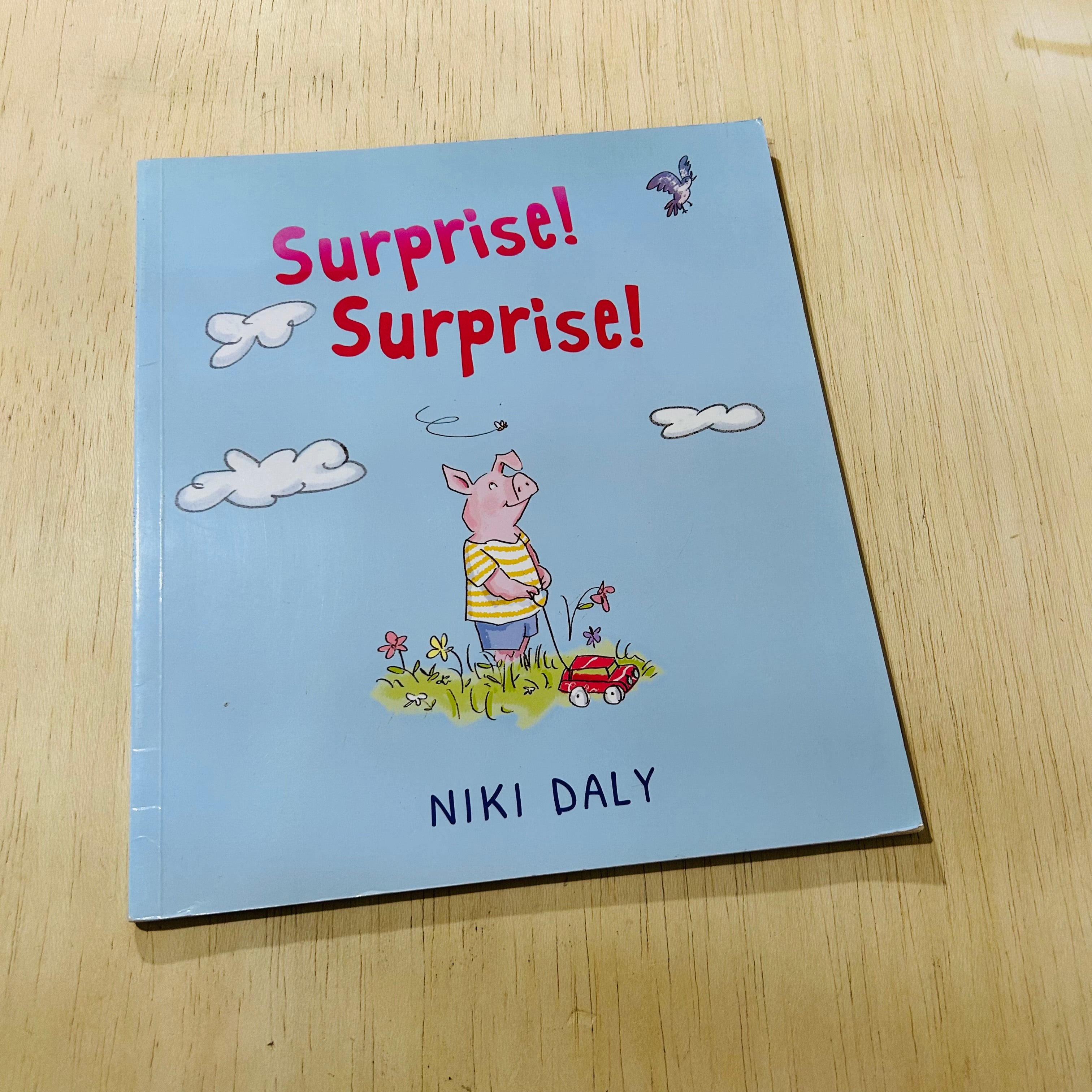 Surprise
