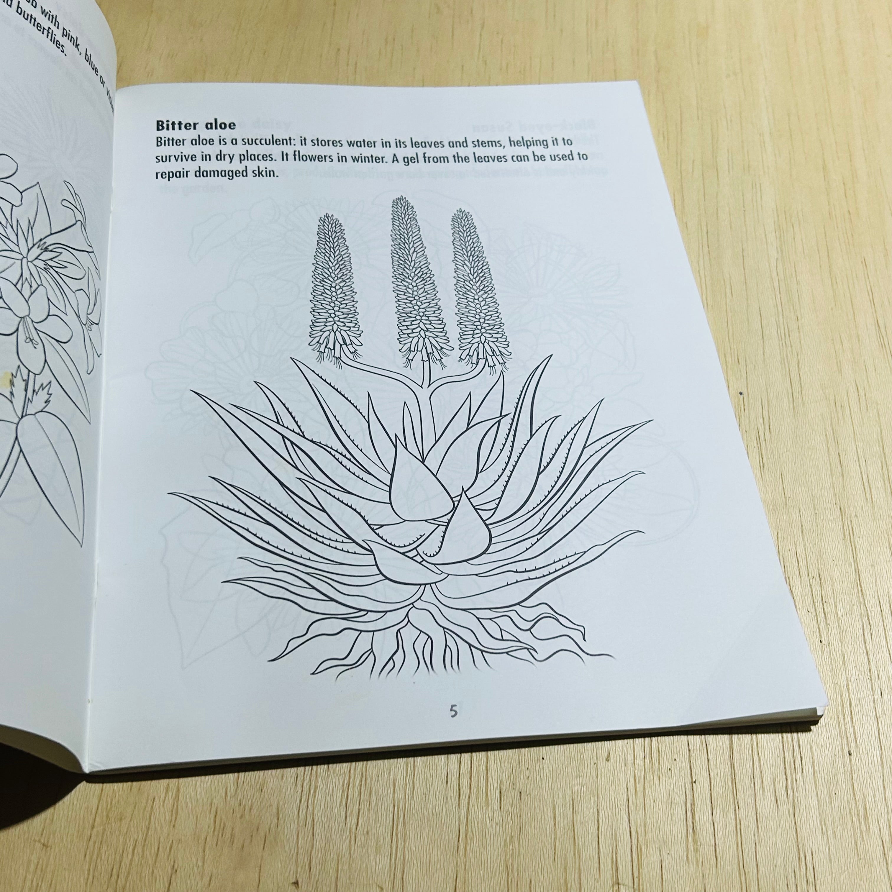 African Wild Flowers - To Read Colour and Keep