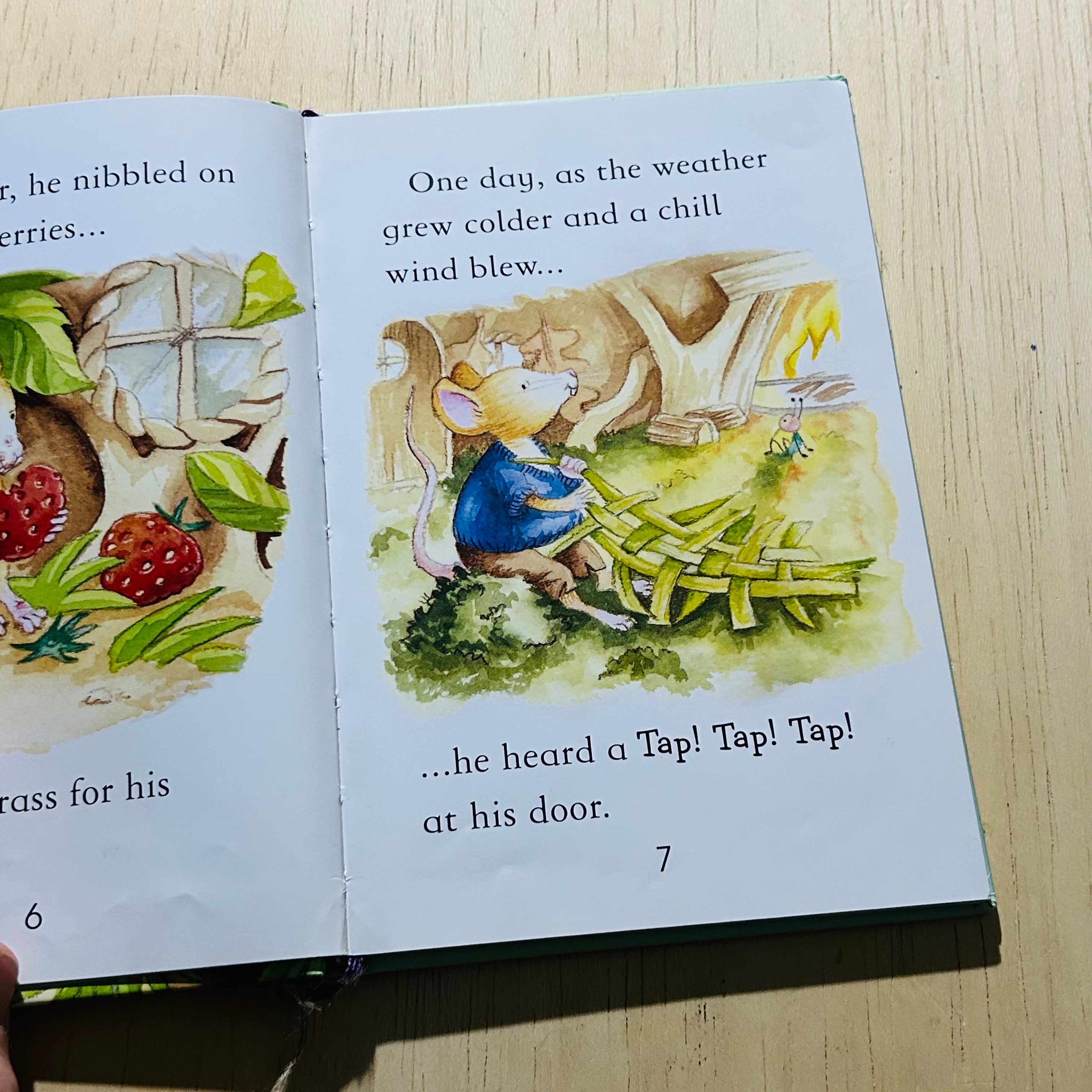 The Town Mouse and the Country Mouse - Hardcover