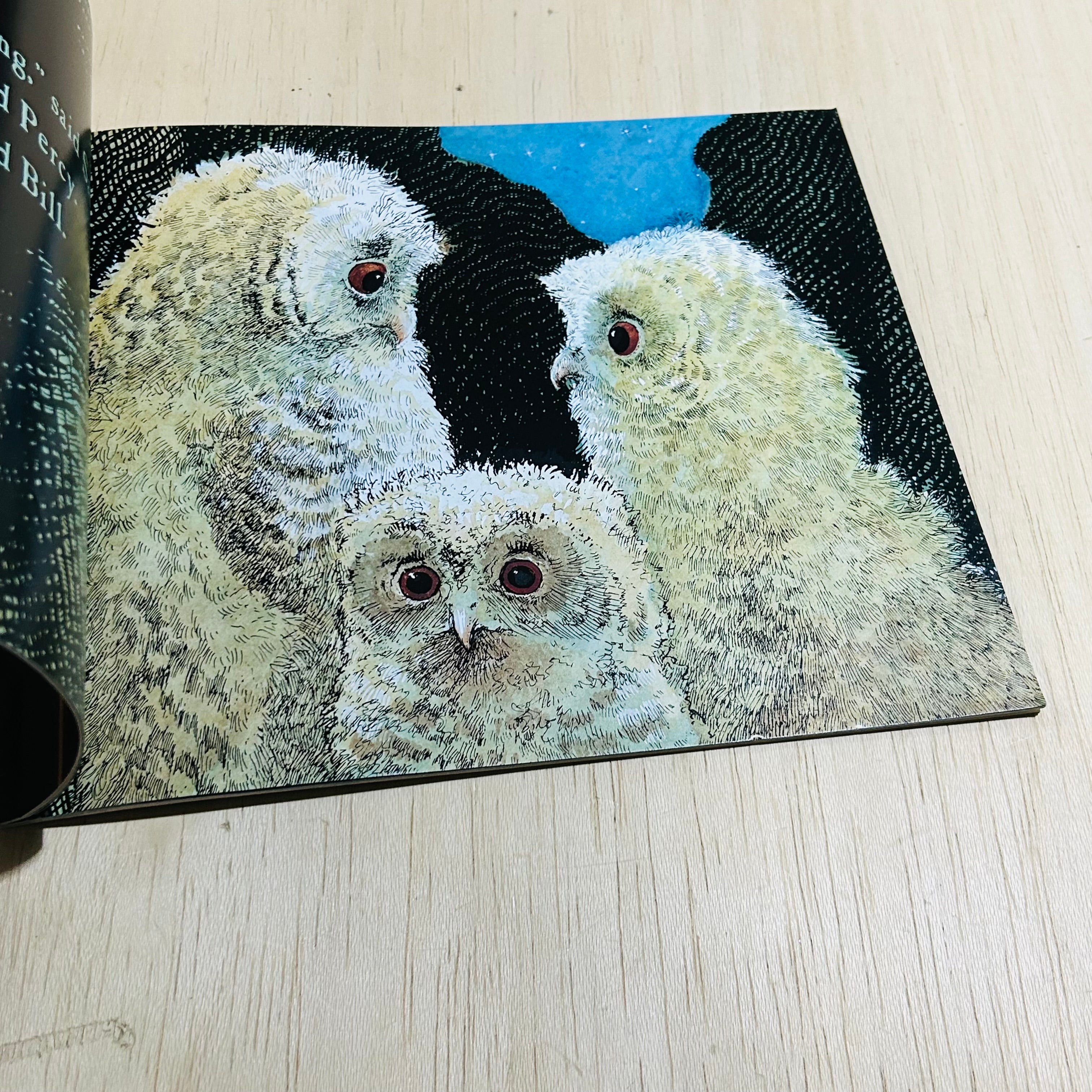 Owl Babies