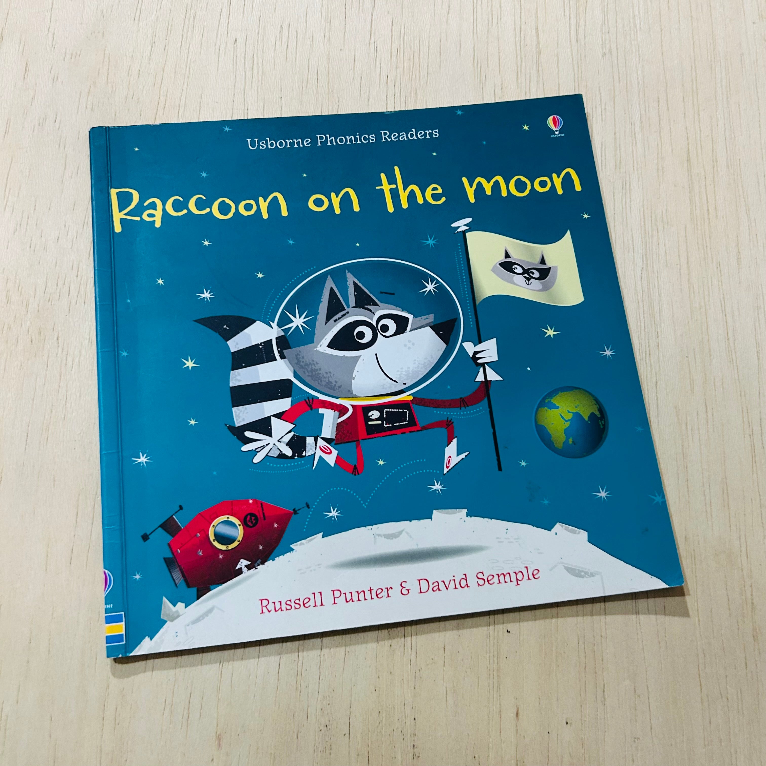 Racoon on the Moon