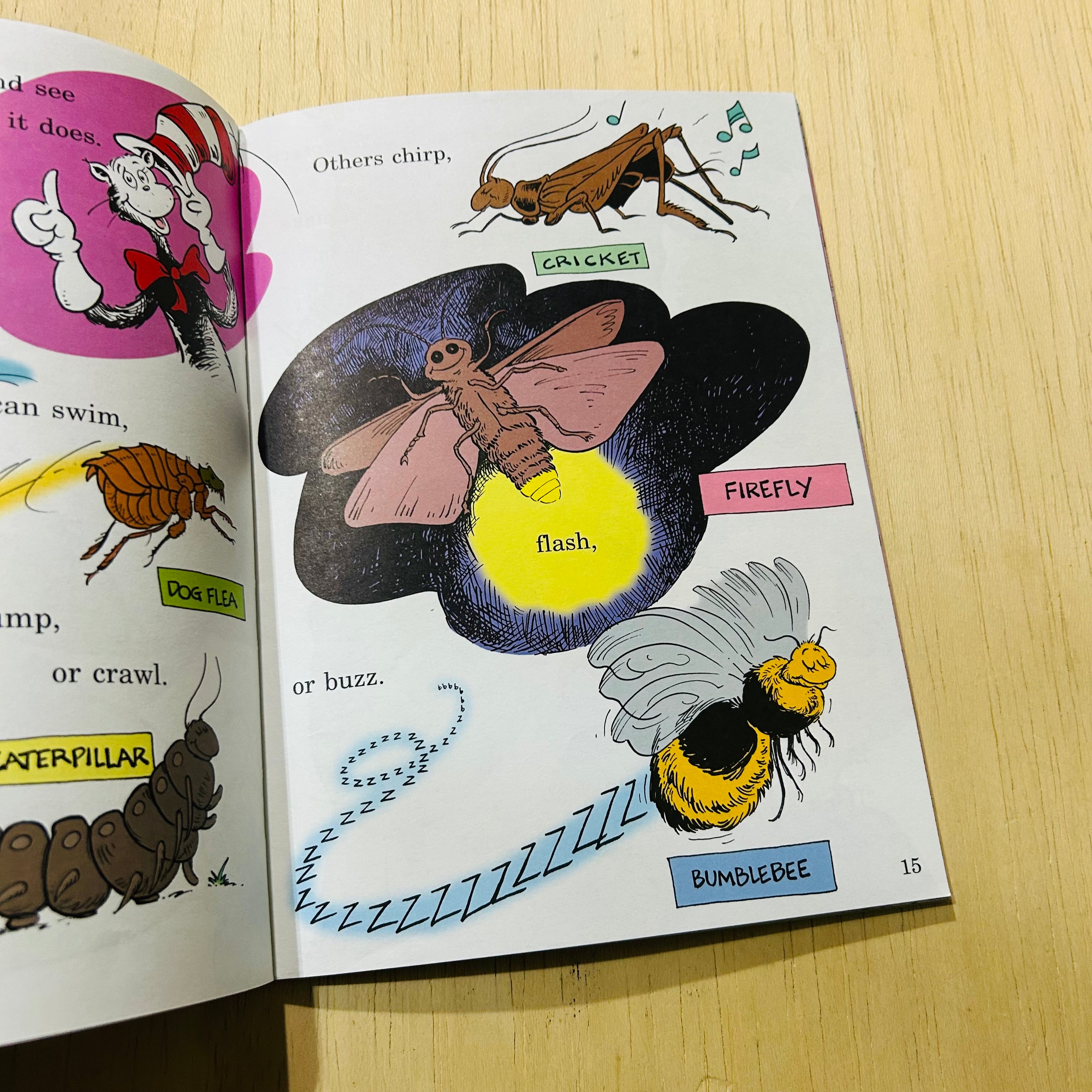 Oh Beyond Bugs