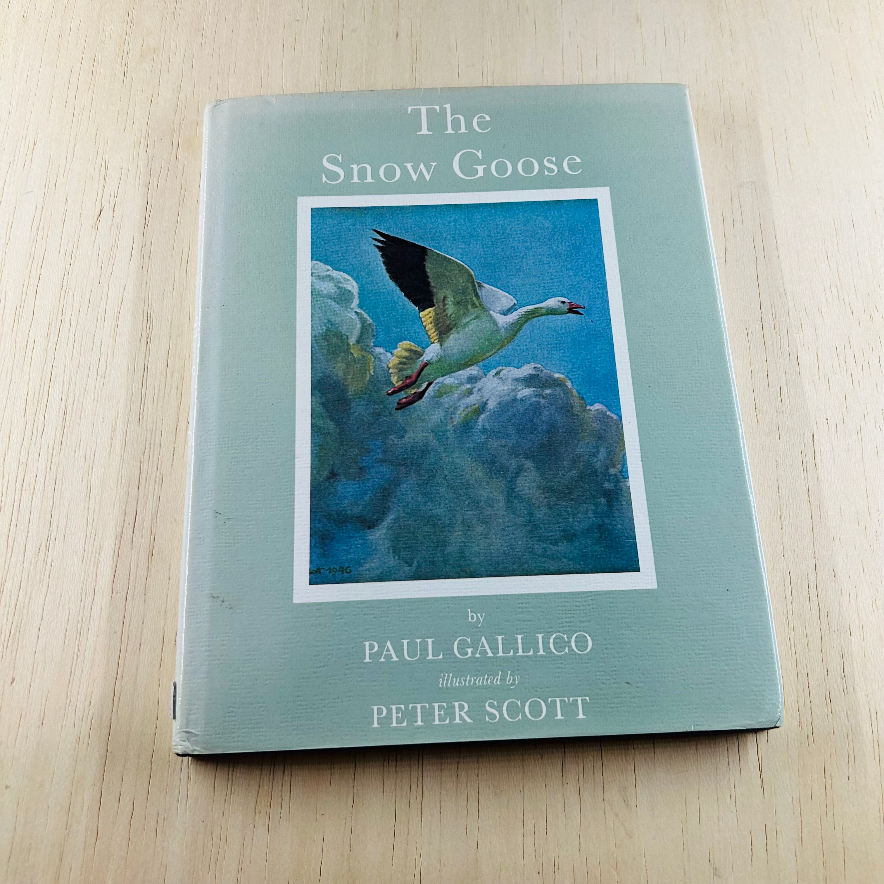 The Snow Goose