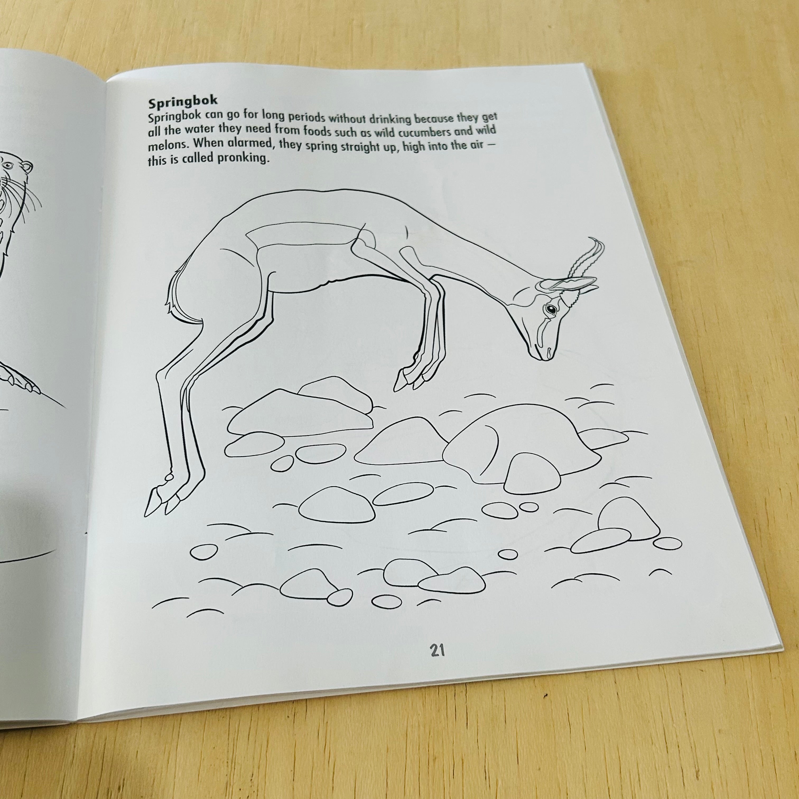 African Mammals - To Read Colour and Keep