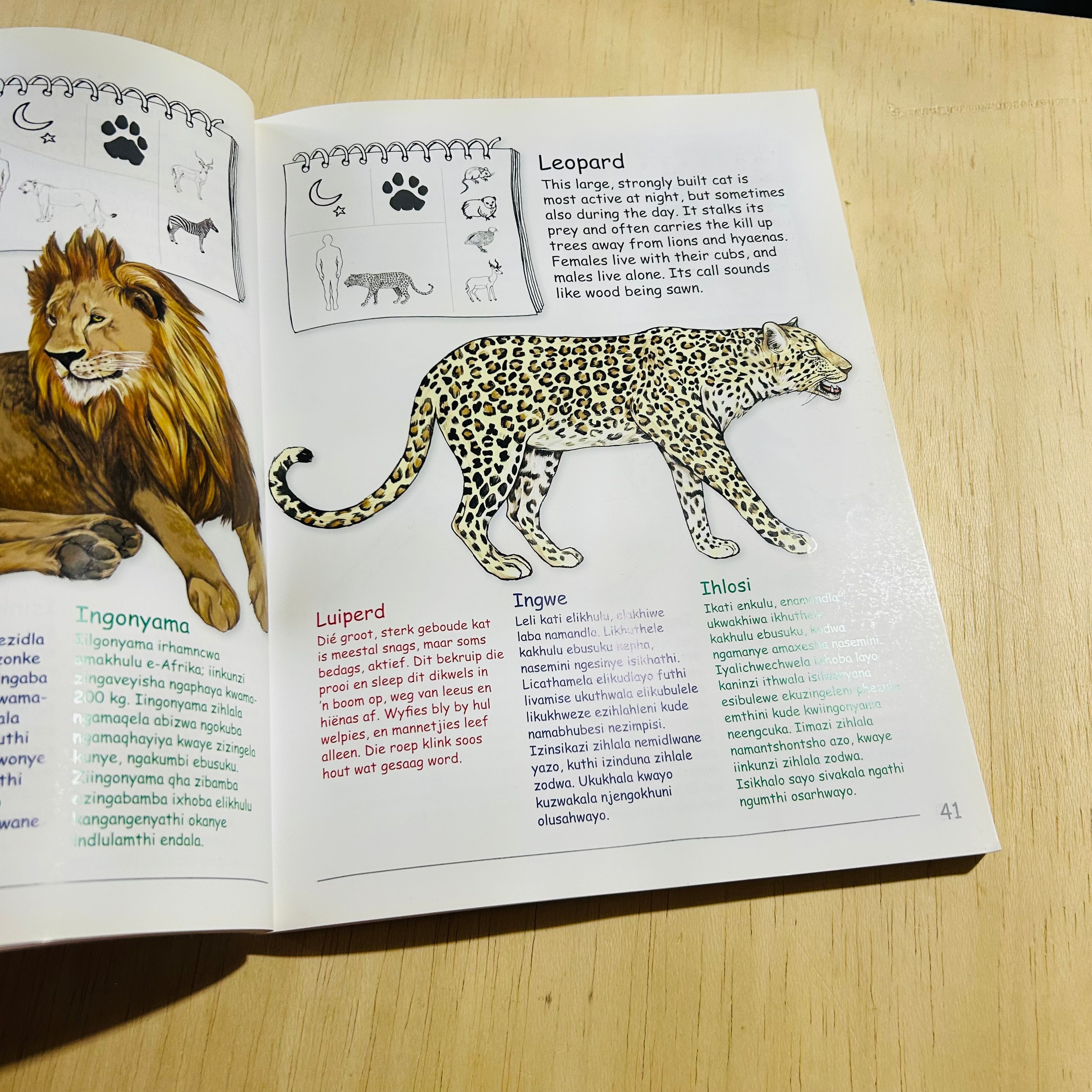 My First Book of South African Wildlife