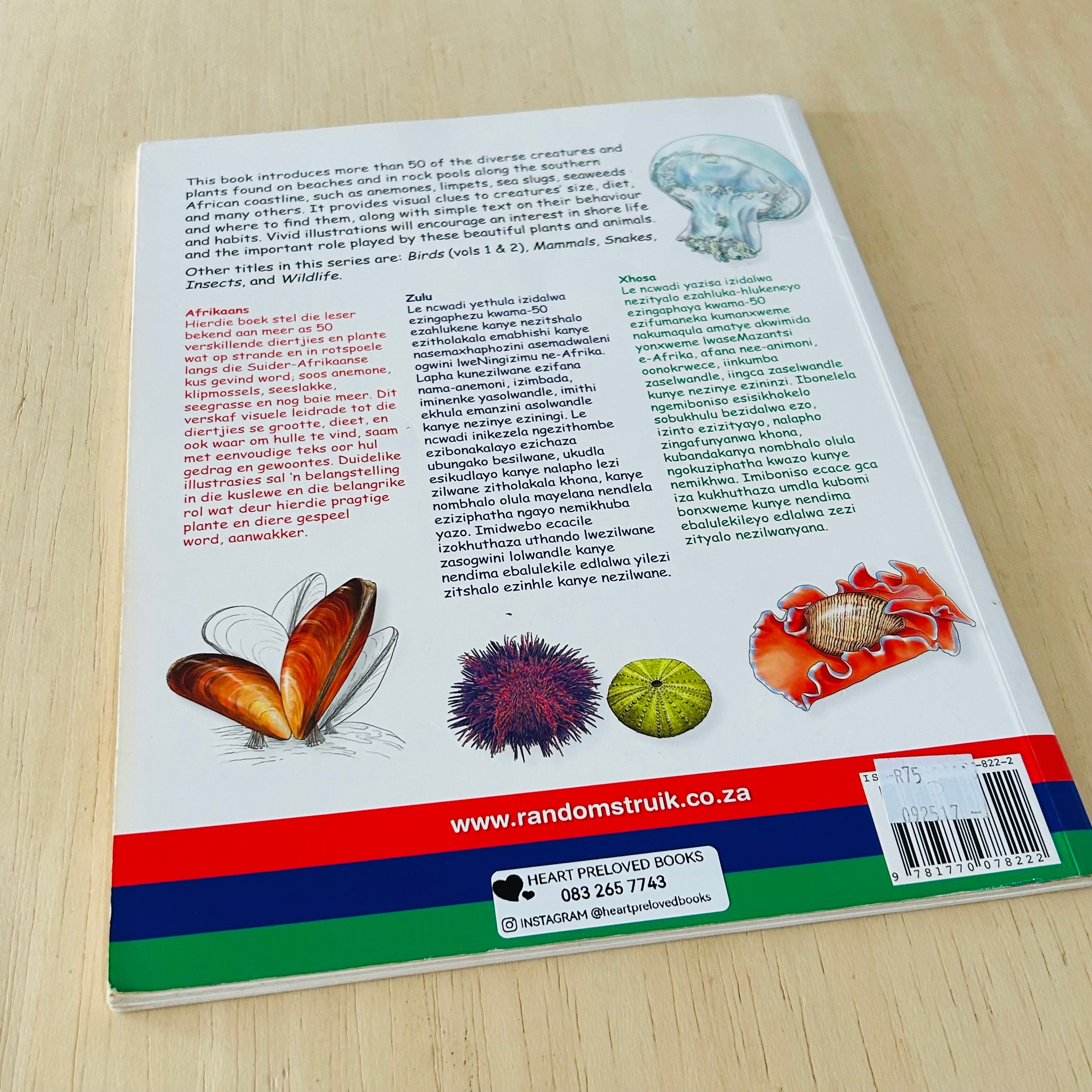 My First Book of Southern African Seashore Life