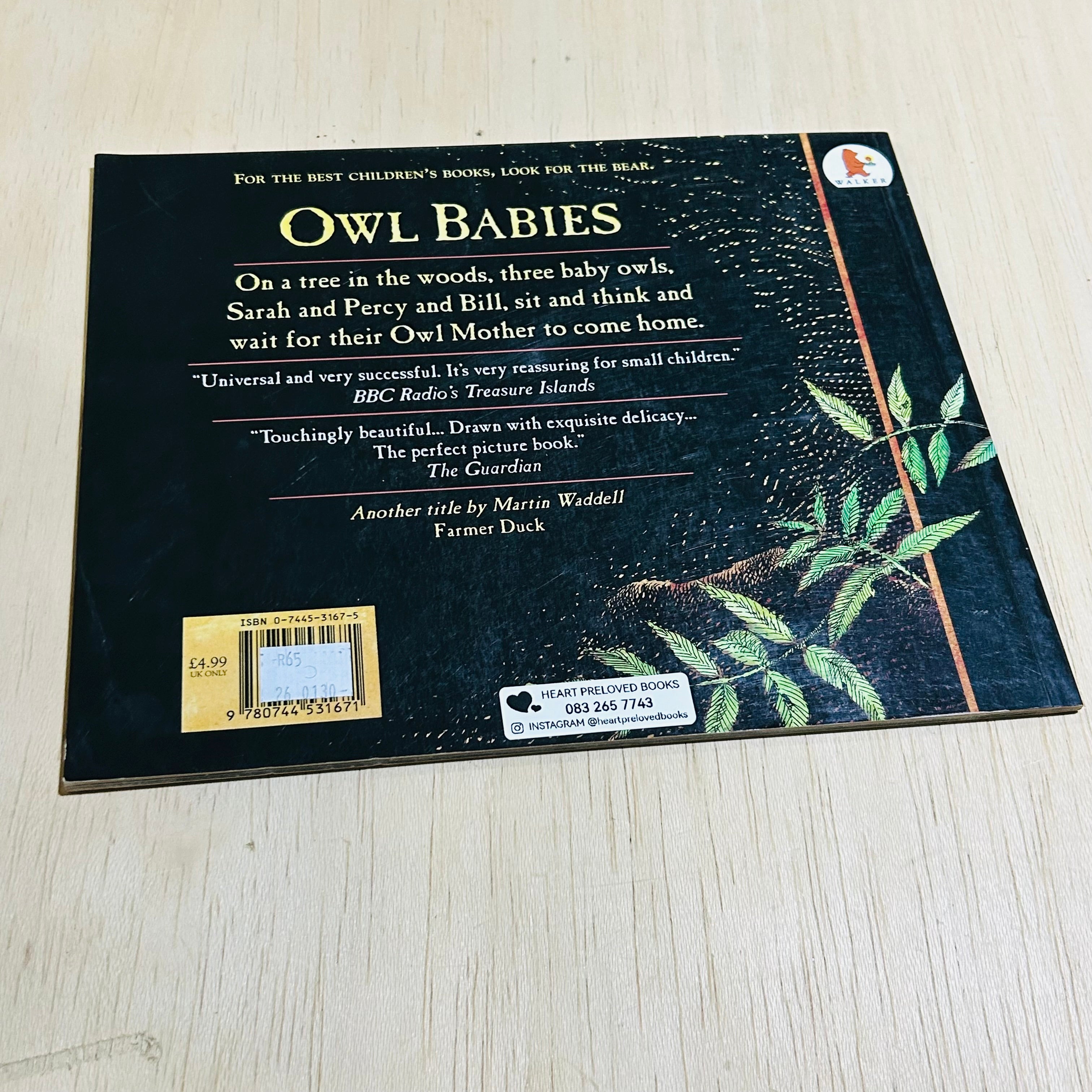 Owl Babies